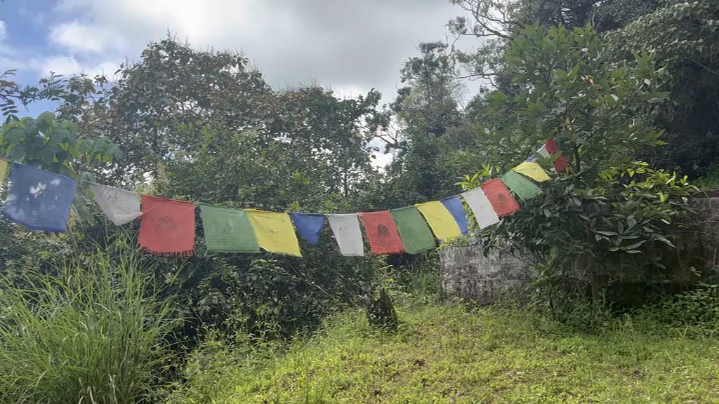 Prayer flags strung between the trees, moving in the breeze