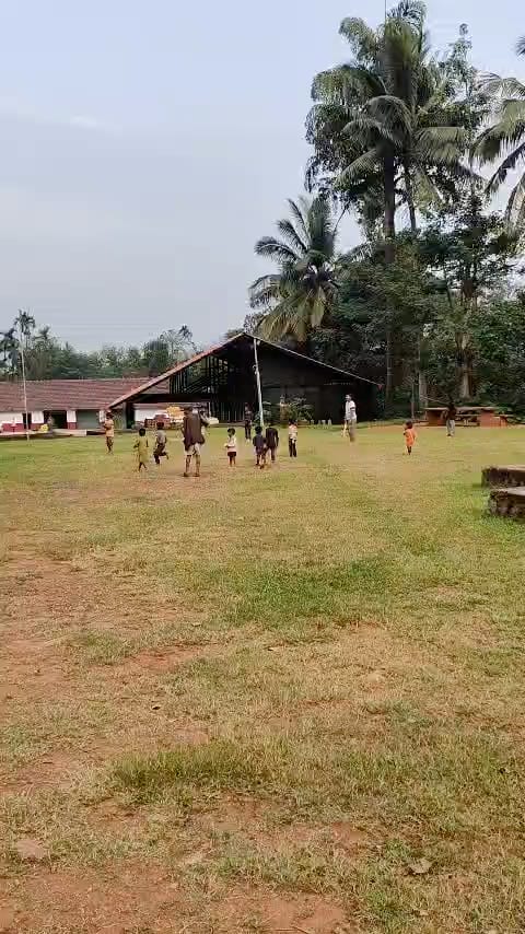 Children running across the grass towards the studio, palms behind them