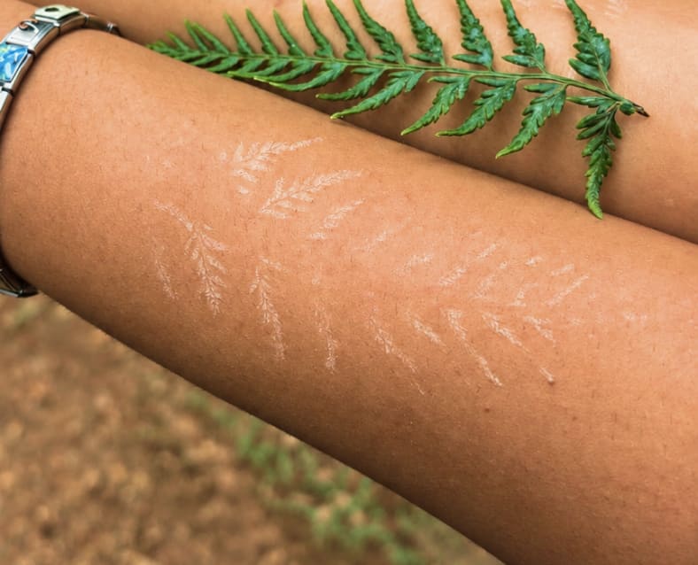 A fern frond laid across two forearms, beside the white fern print it has left on the skin