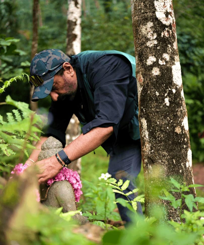 Setting the garlanded Buddha down among the ferns