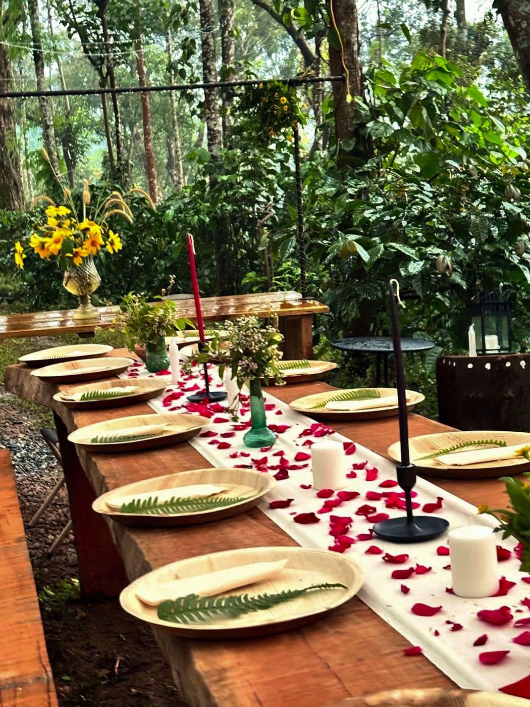 A long table set with leaf plates, petals and candles among the trees