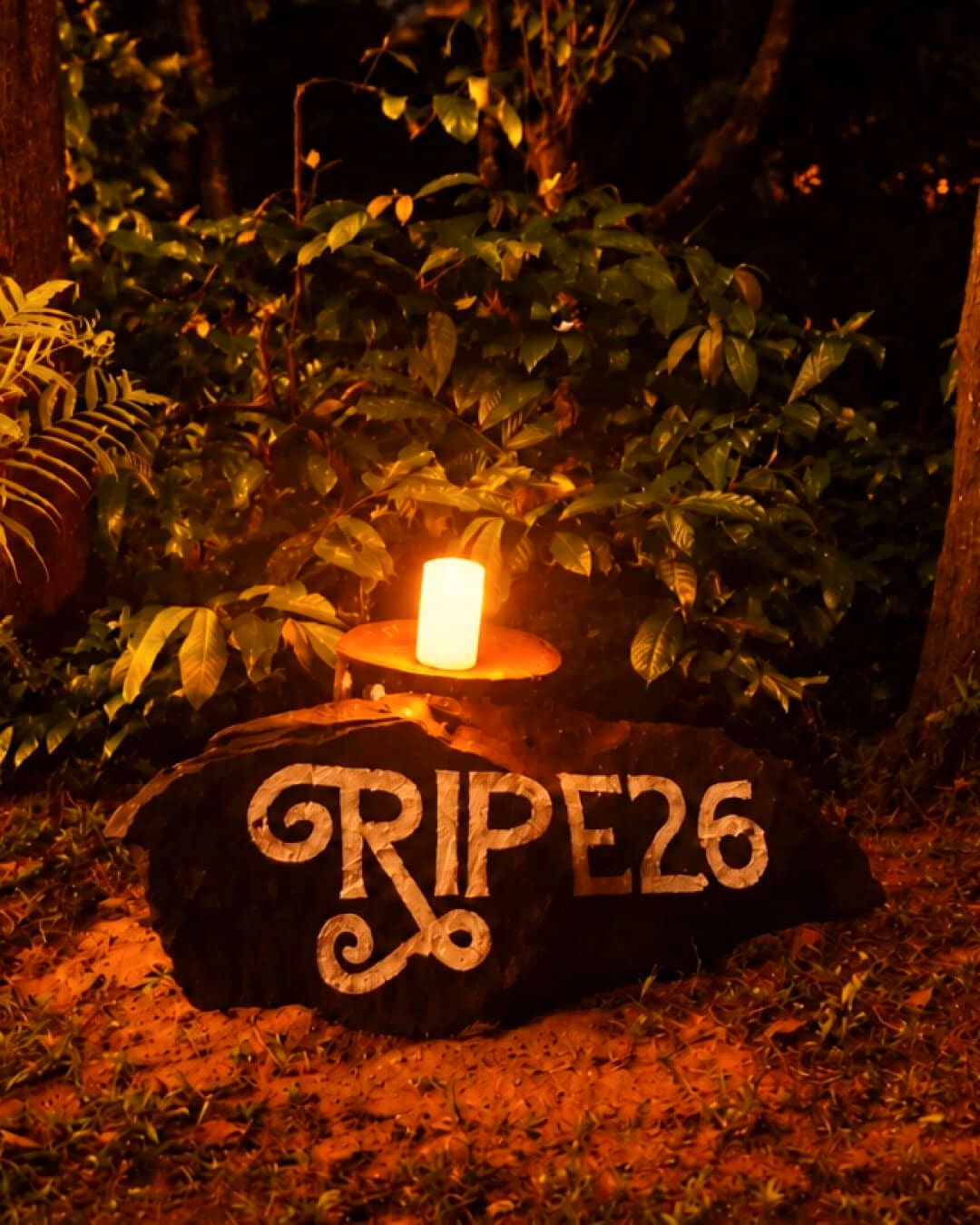A candle on a stone painted RIPE26, among the leaves