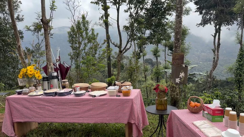 Breakfast laid on checked cloths in the open, the misty hills behind