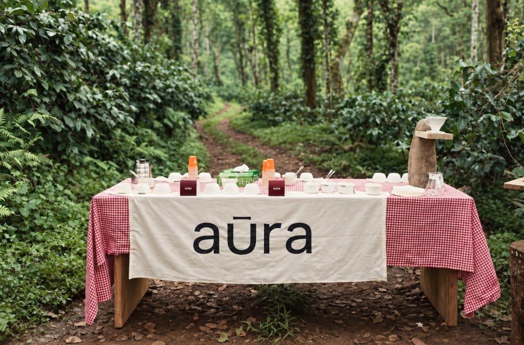 A tasting table set out under the trees