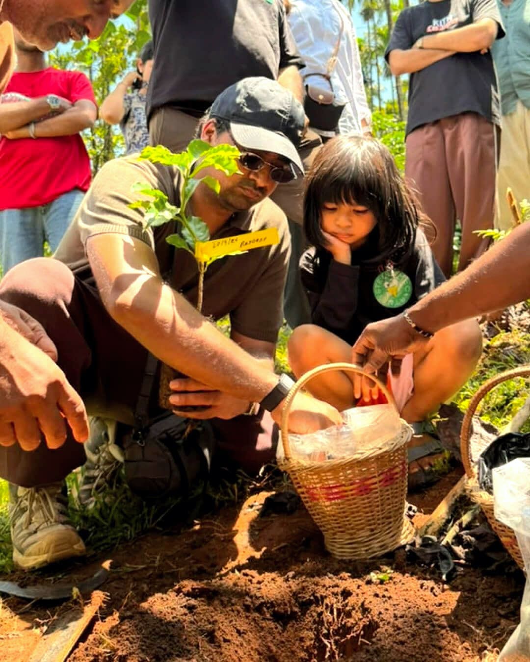 An adult and a child planting a sapling, a basket beside them