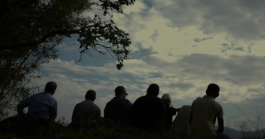 A group sitting together on a ridge under a tree at dusk