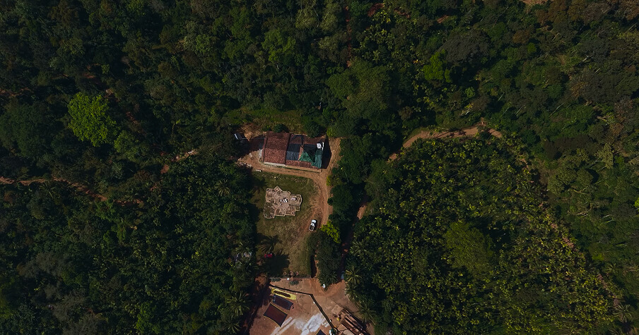 The estate seen from above, buildings held inside the canopy