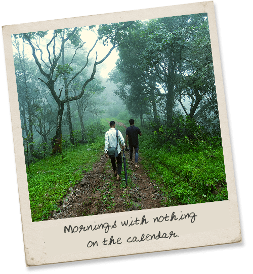 A polaroid of two people walking a forest path — captioned “Mornings with nothing on the calendar.”