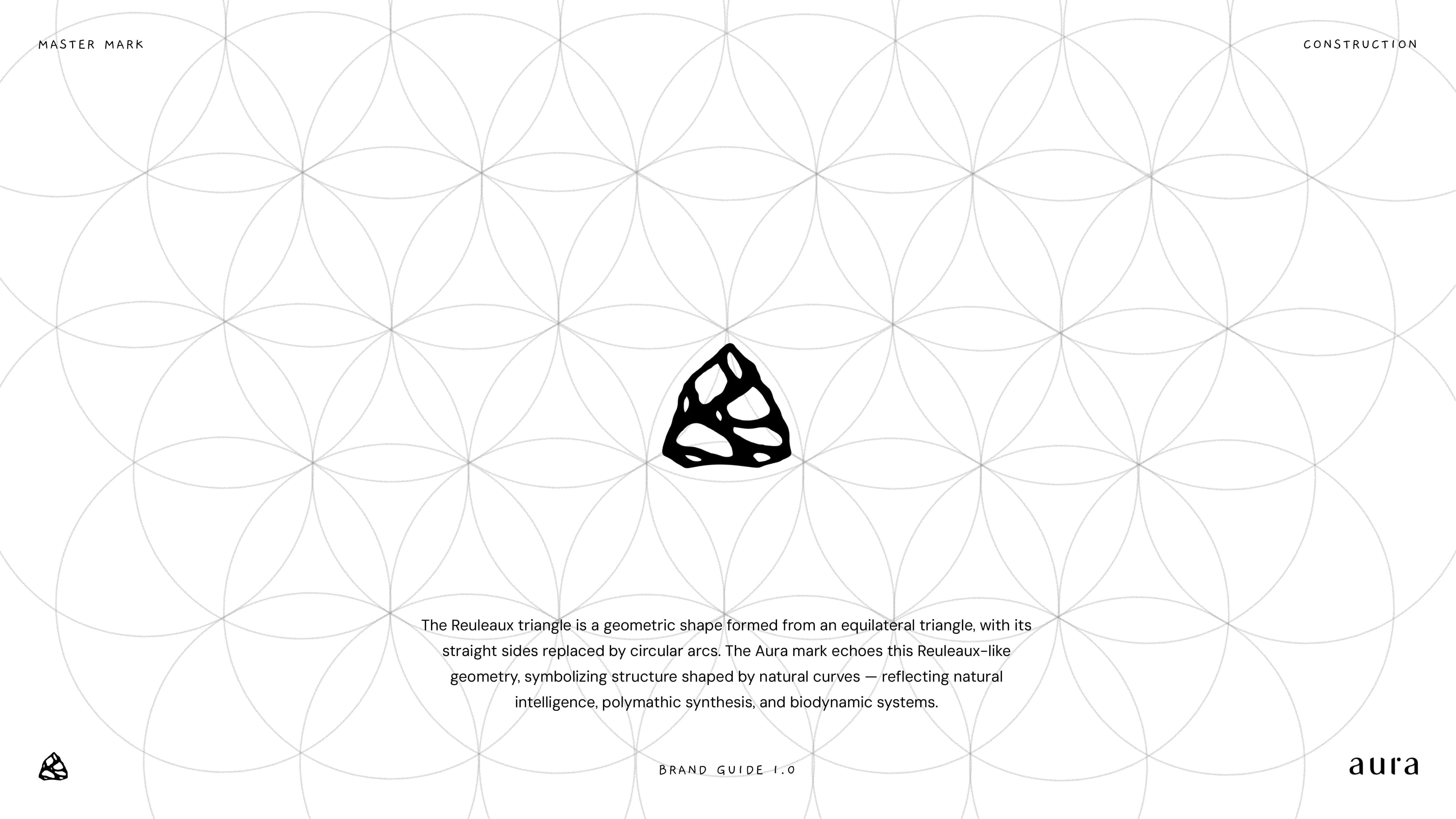 Aura brand guideline, slide 13