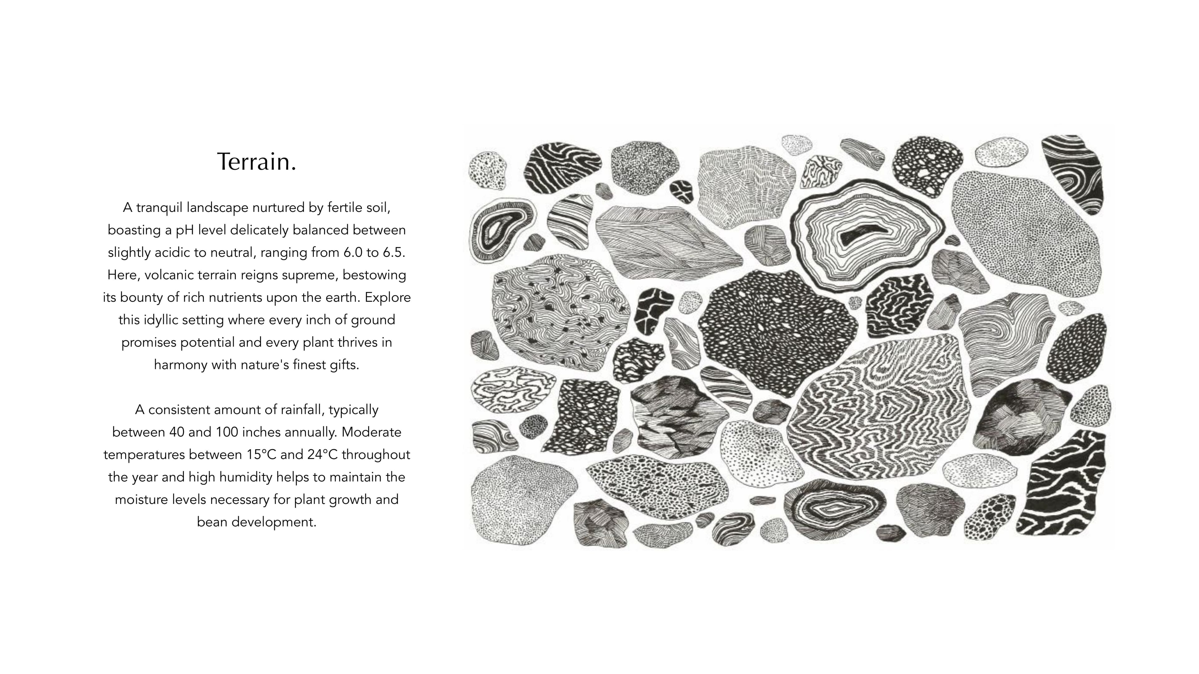Aura brand guideline, slide 33