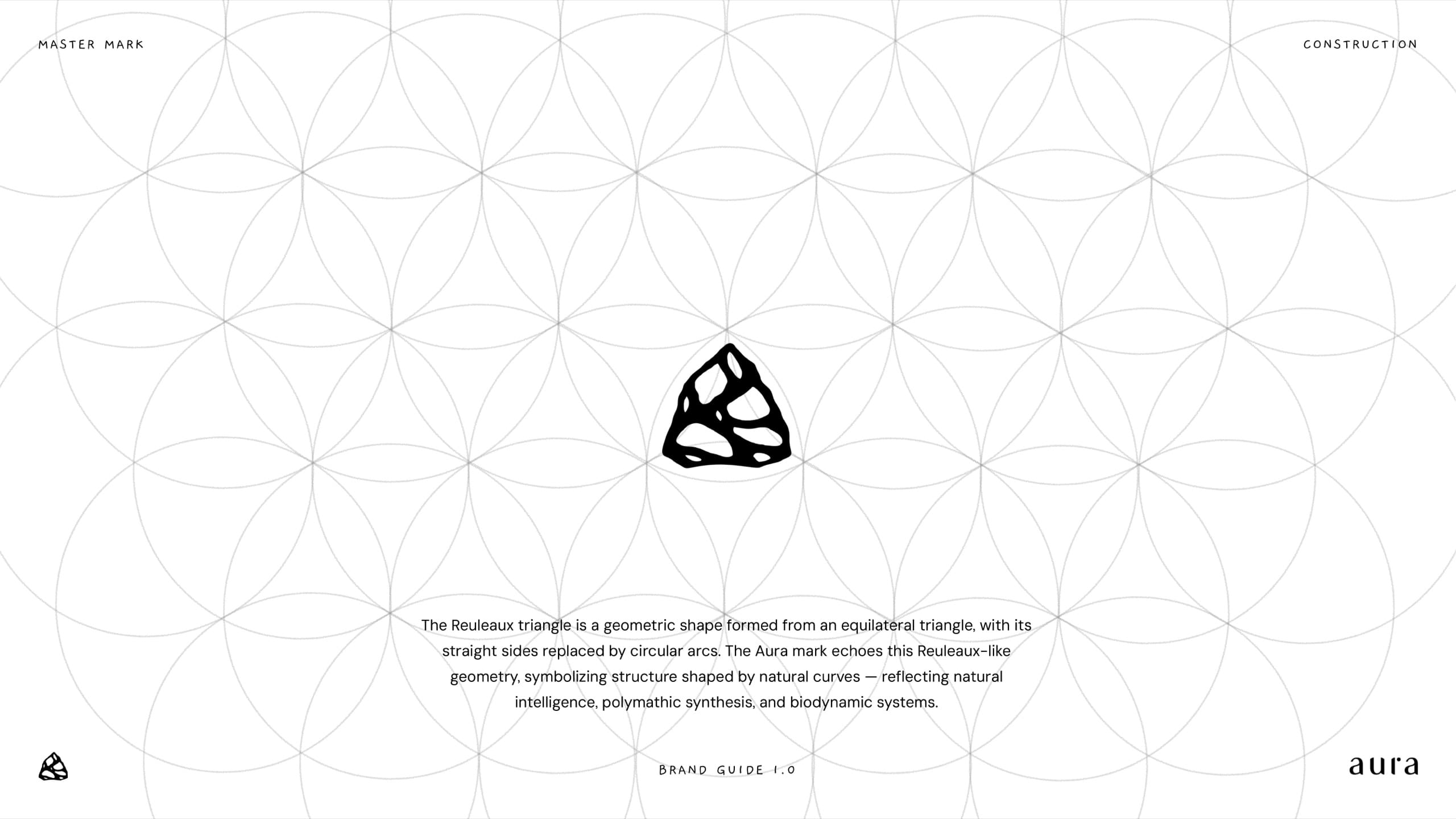Aura brand guideline, slide 13
