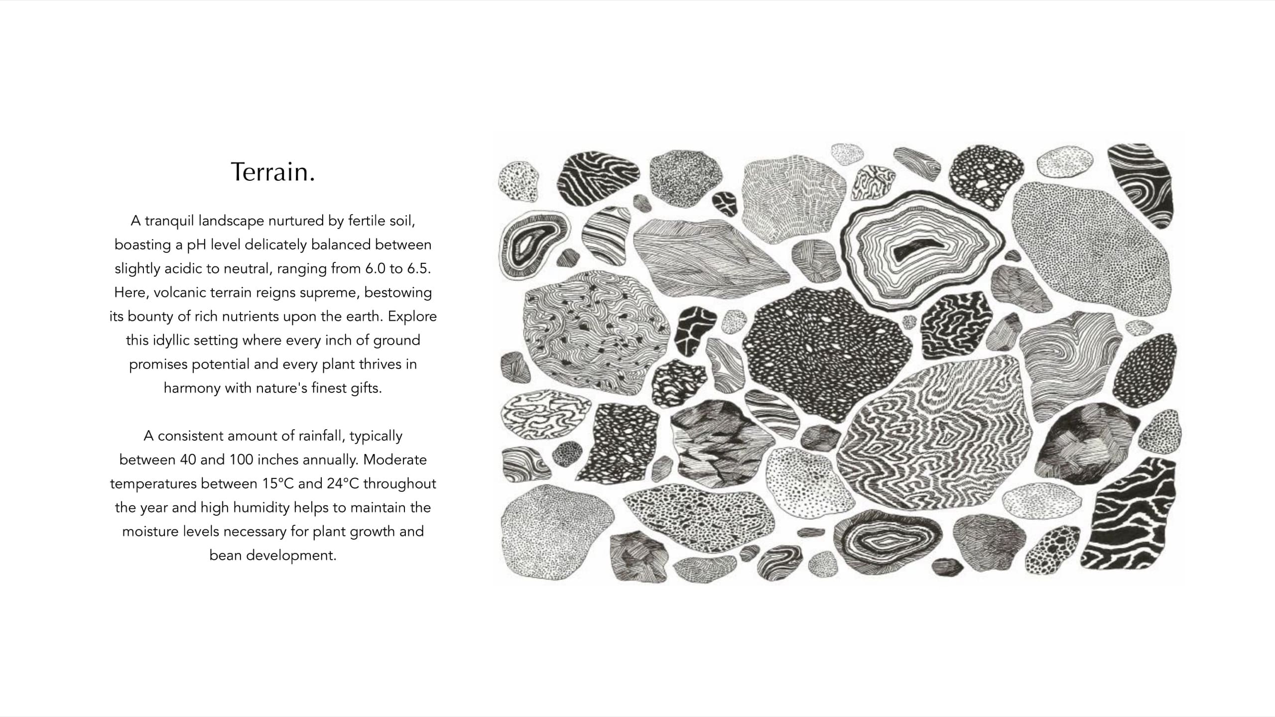 Aura brand guideline, slide 33