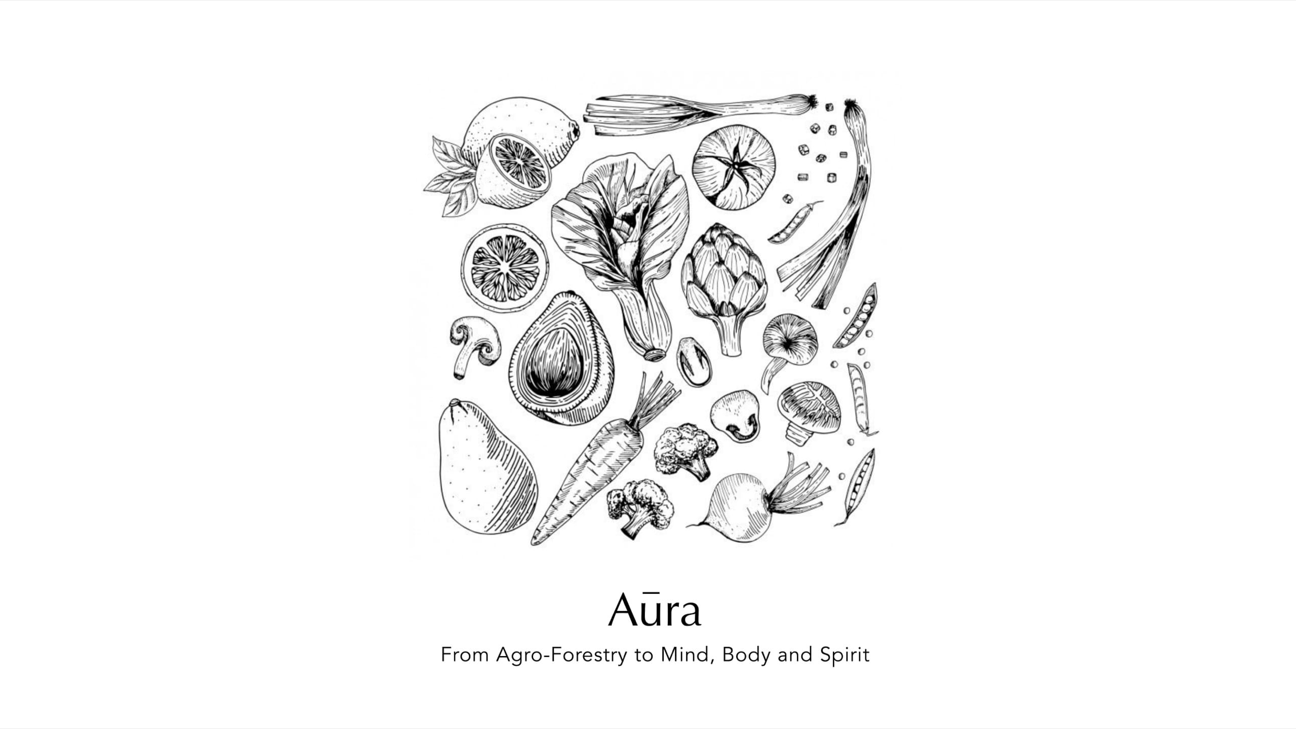 Aura brand guideline, slide 77