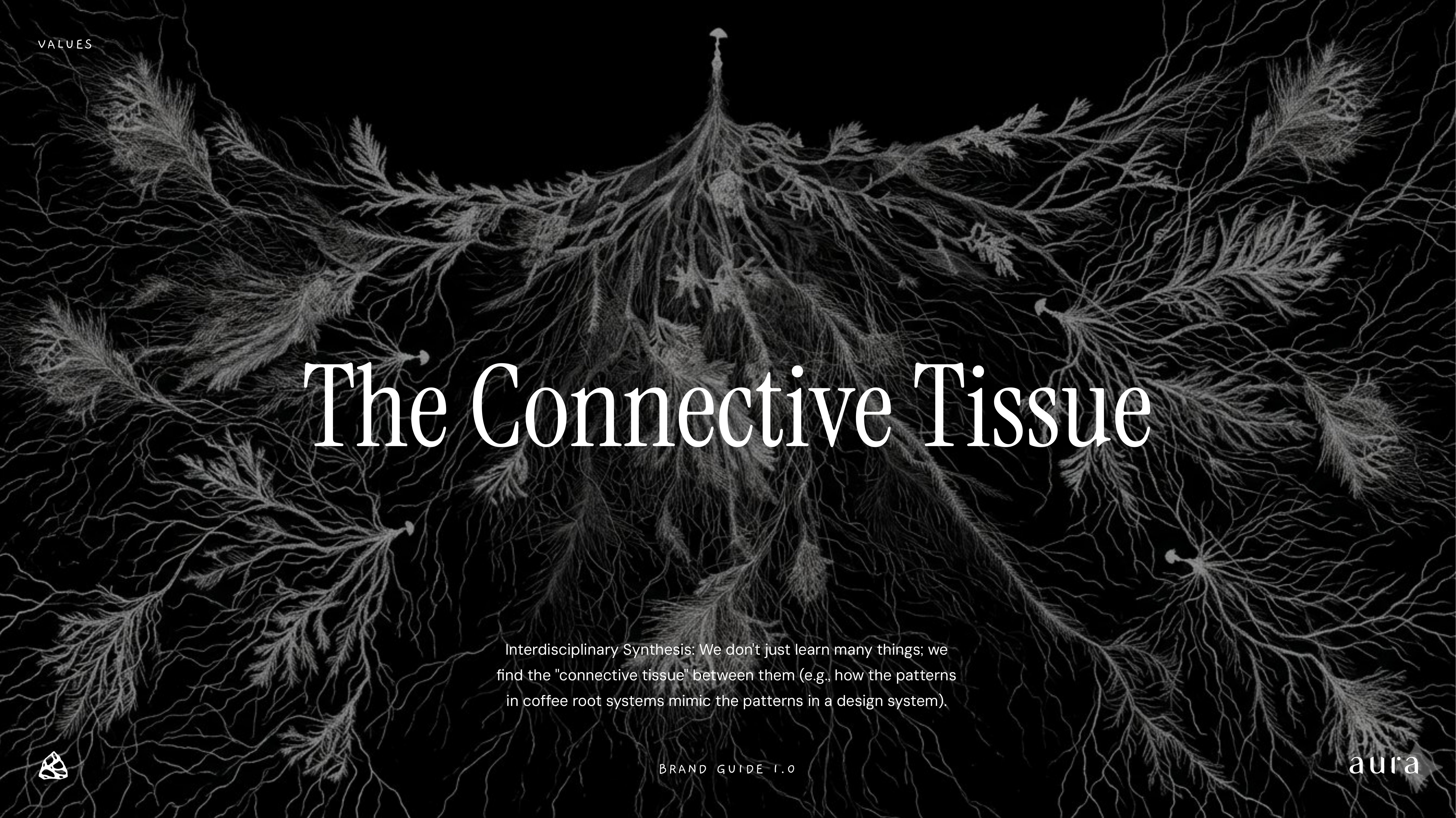 Aura brand guideline, slide 03