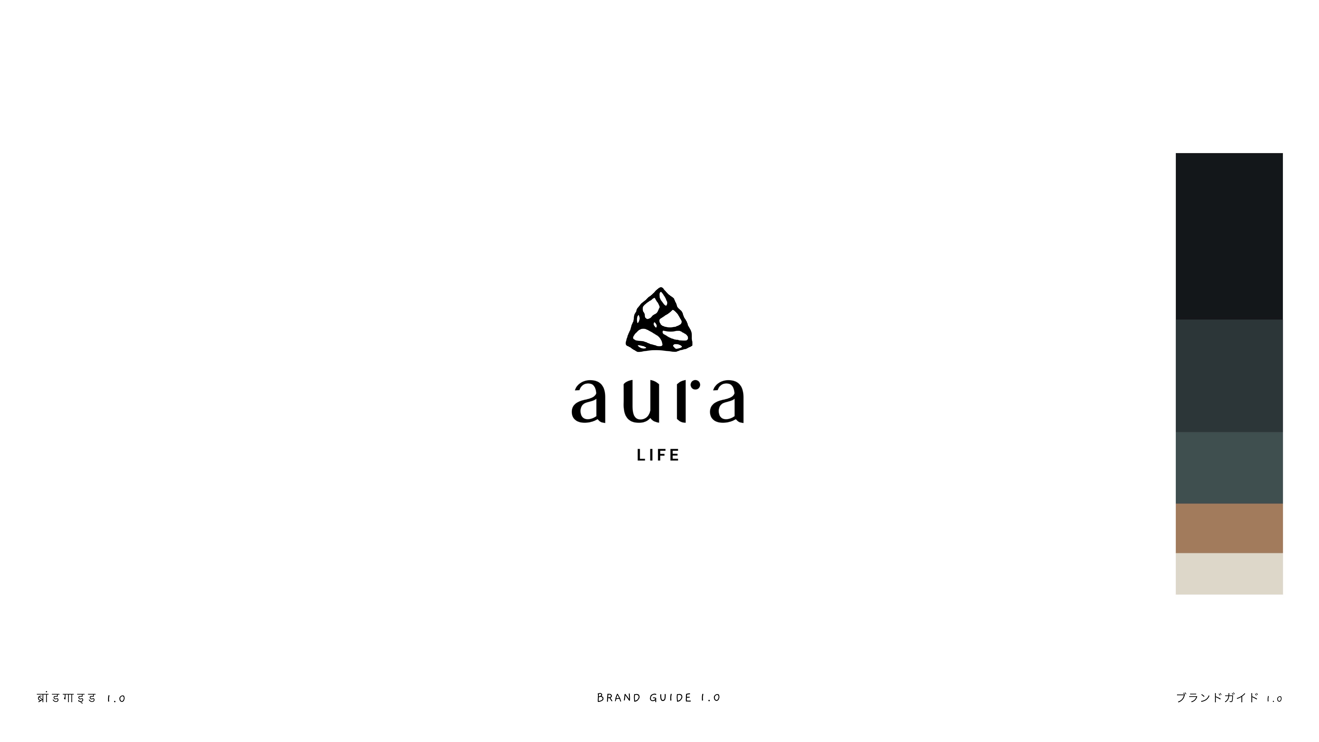 Aura brand guideline, slide 05