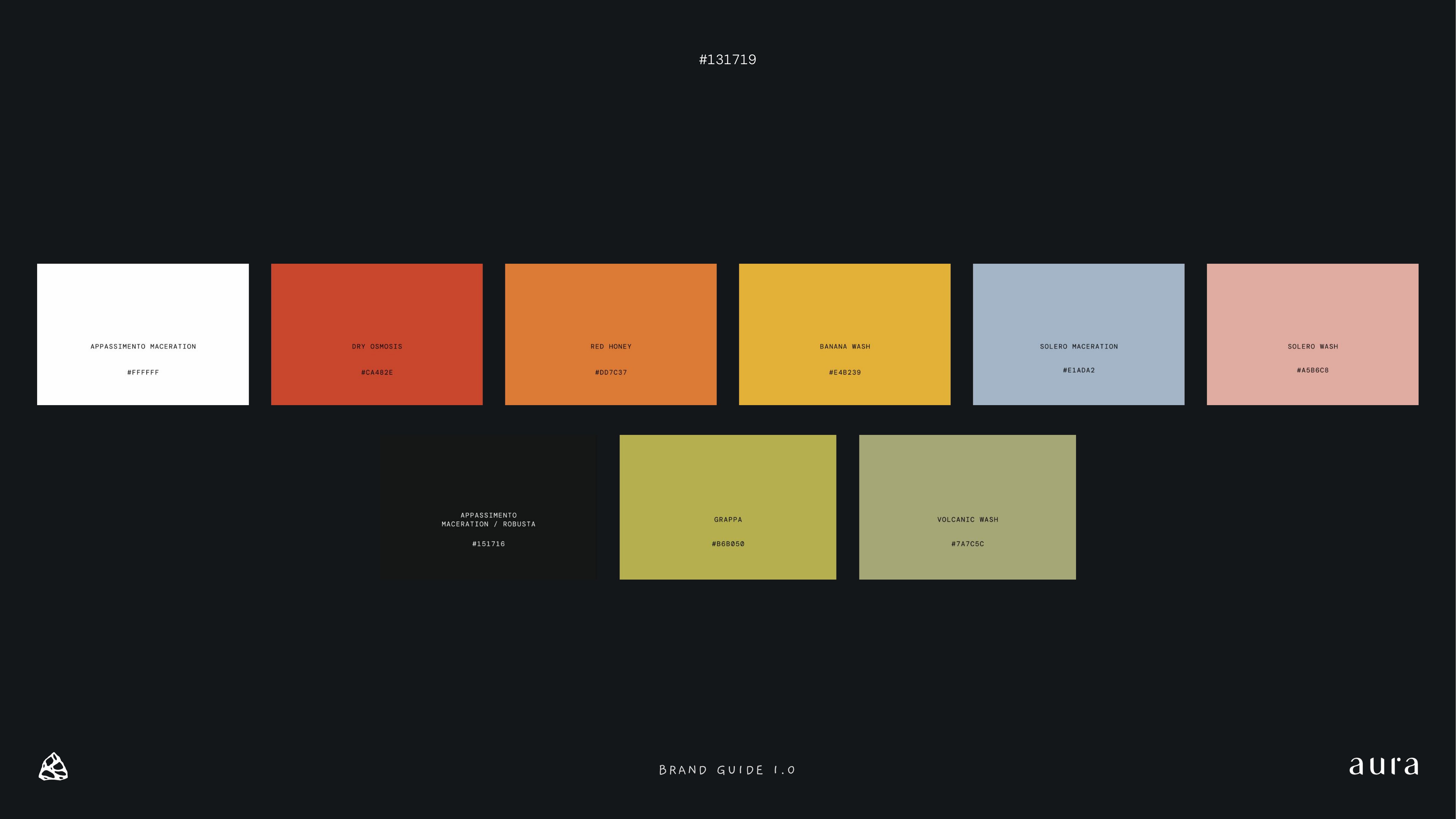 Aura brand guideline, slide 19