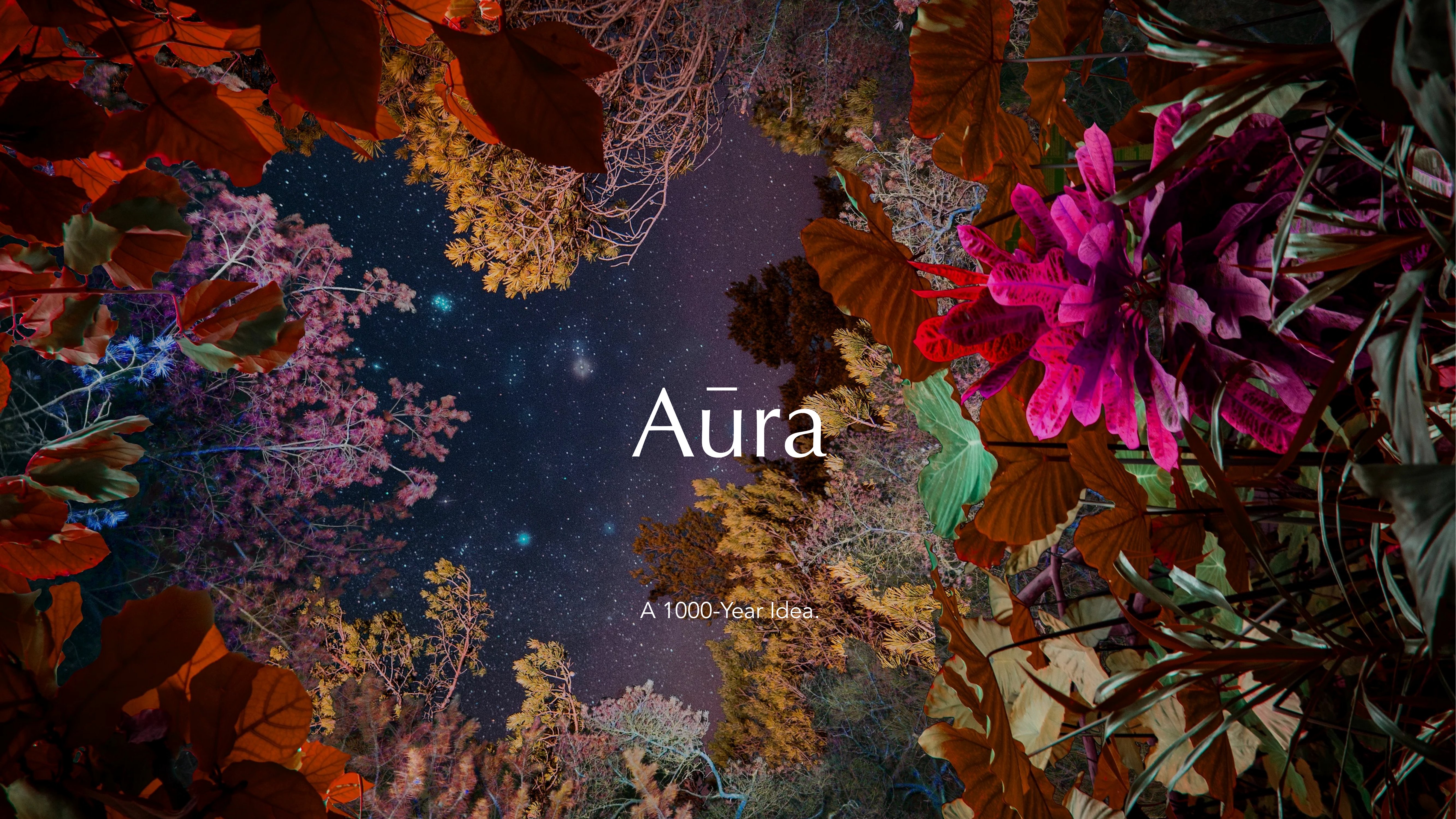 Aura brand guideline, slide 22