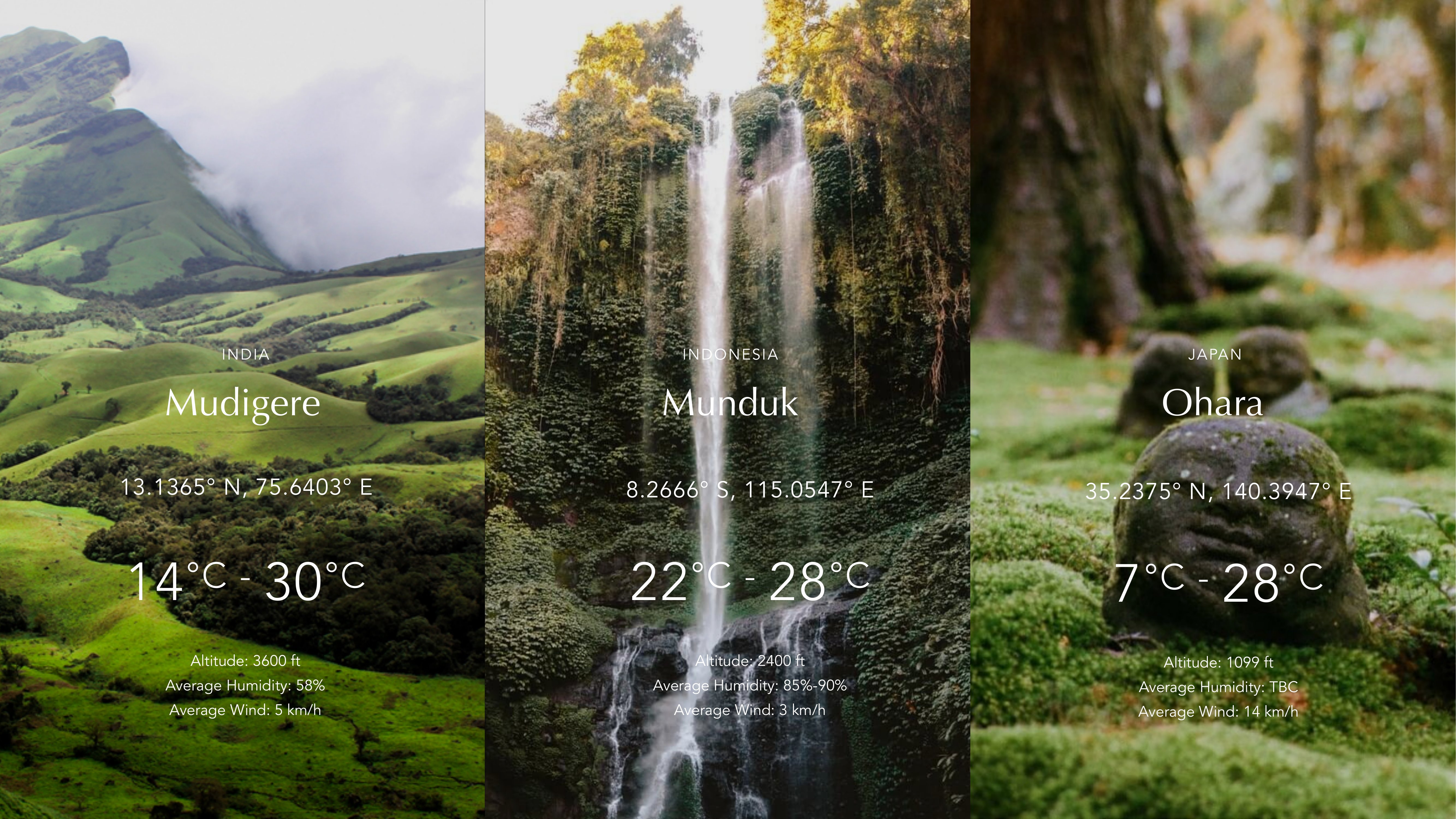 Aura brand guideline, slide 26