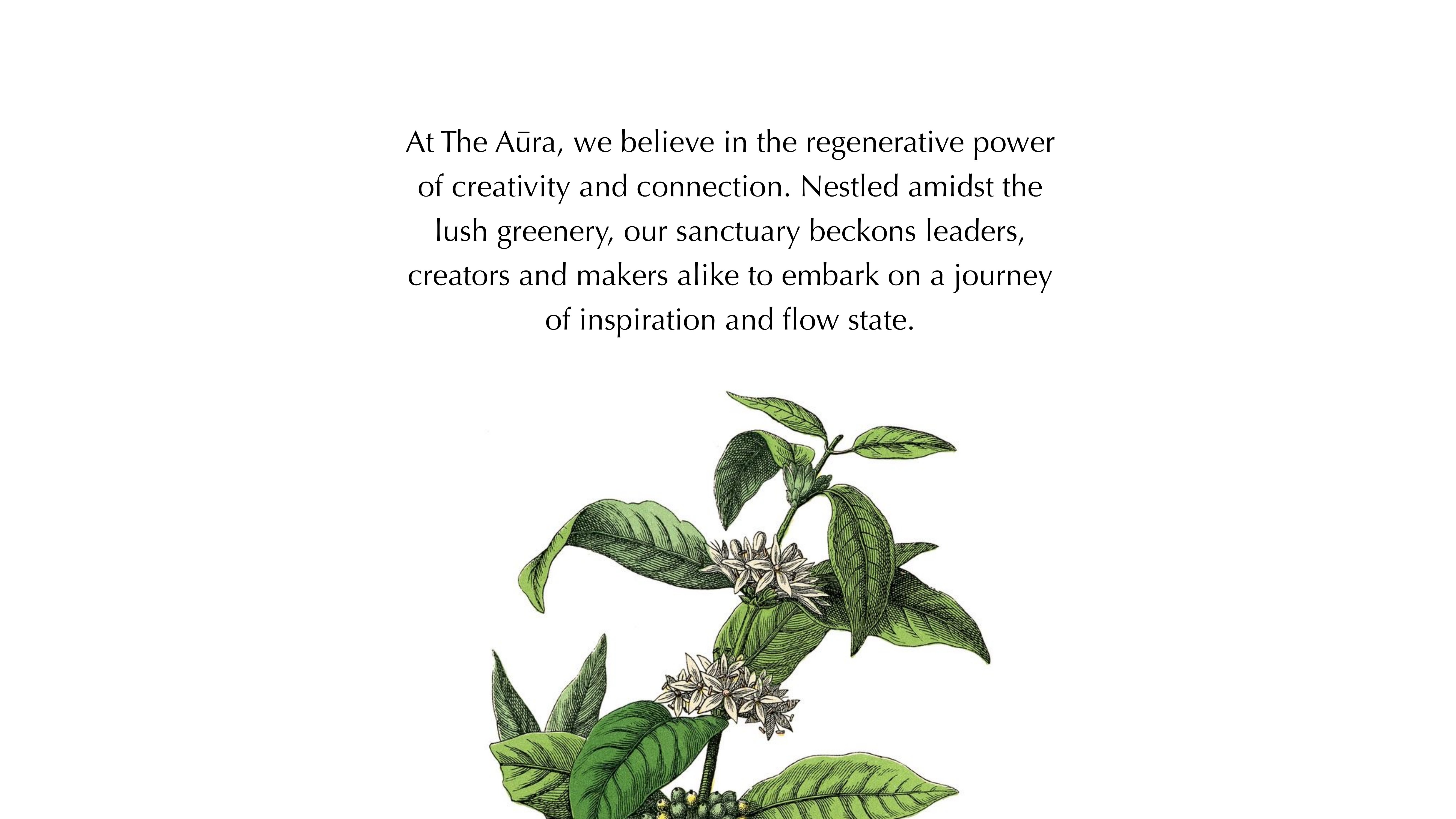 Aura brand guideline, slide 27