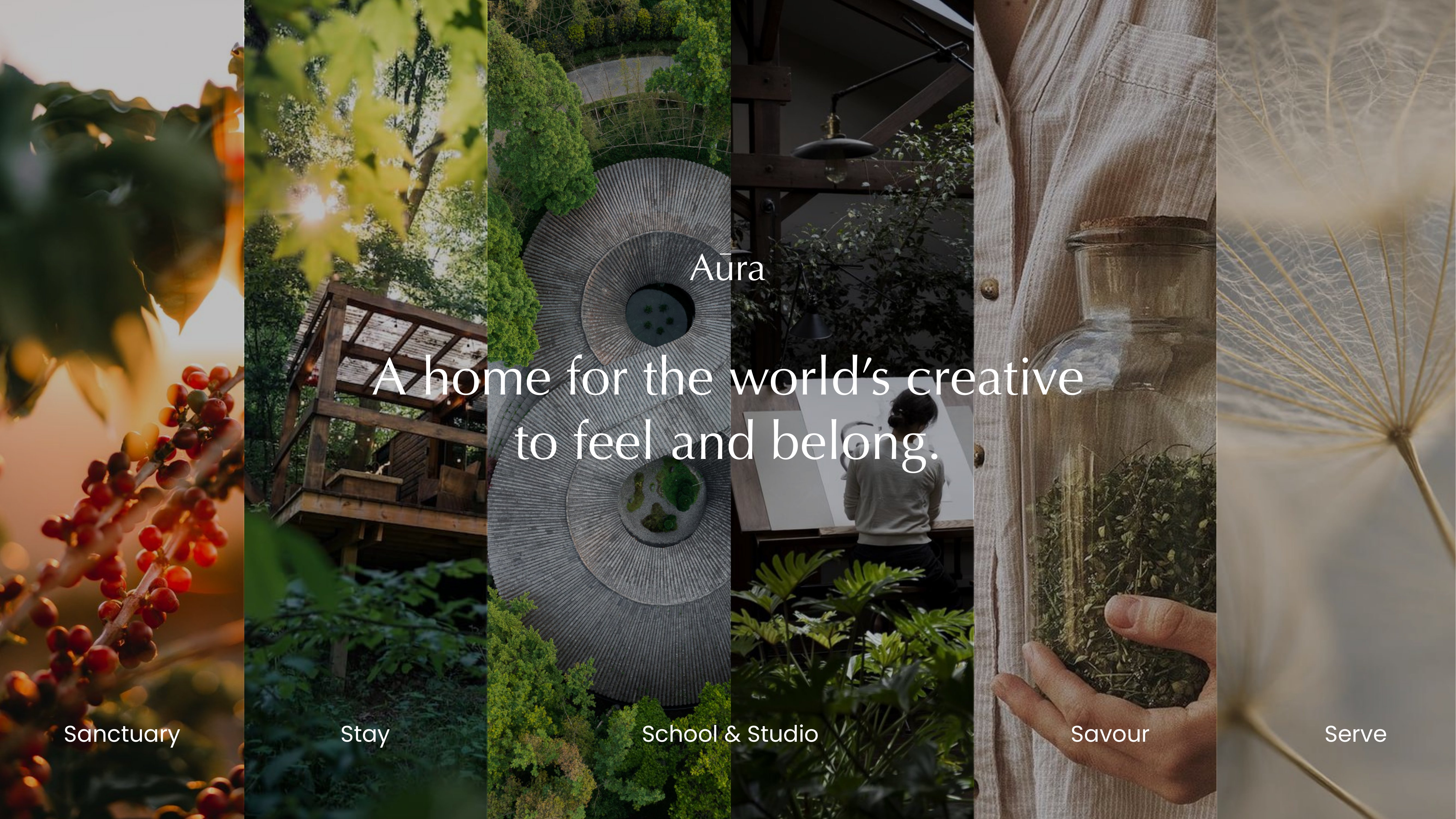 Aura brand guideline, slide 30