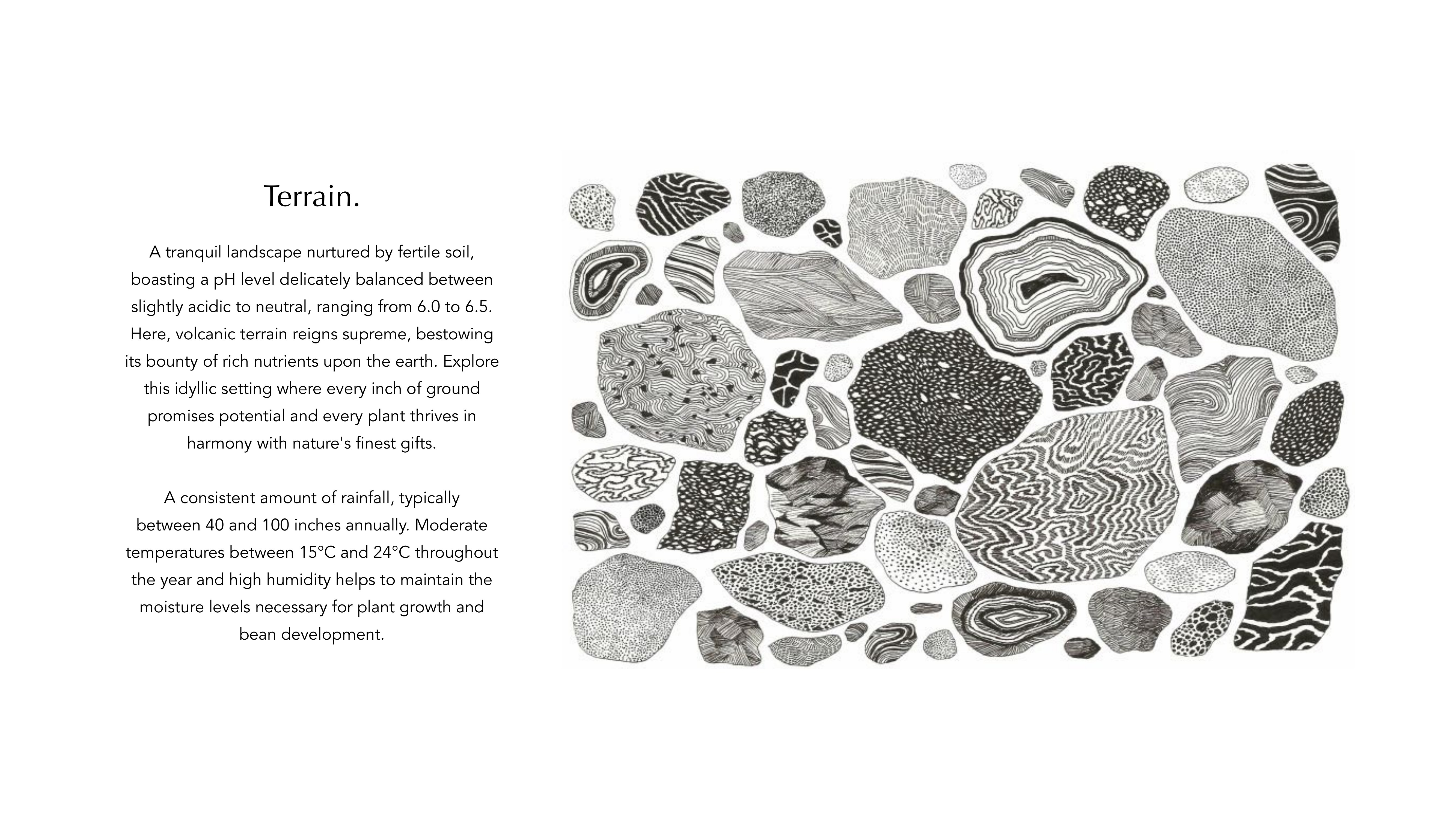 Aura brand guideline, slide 33