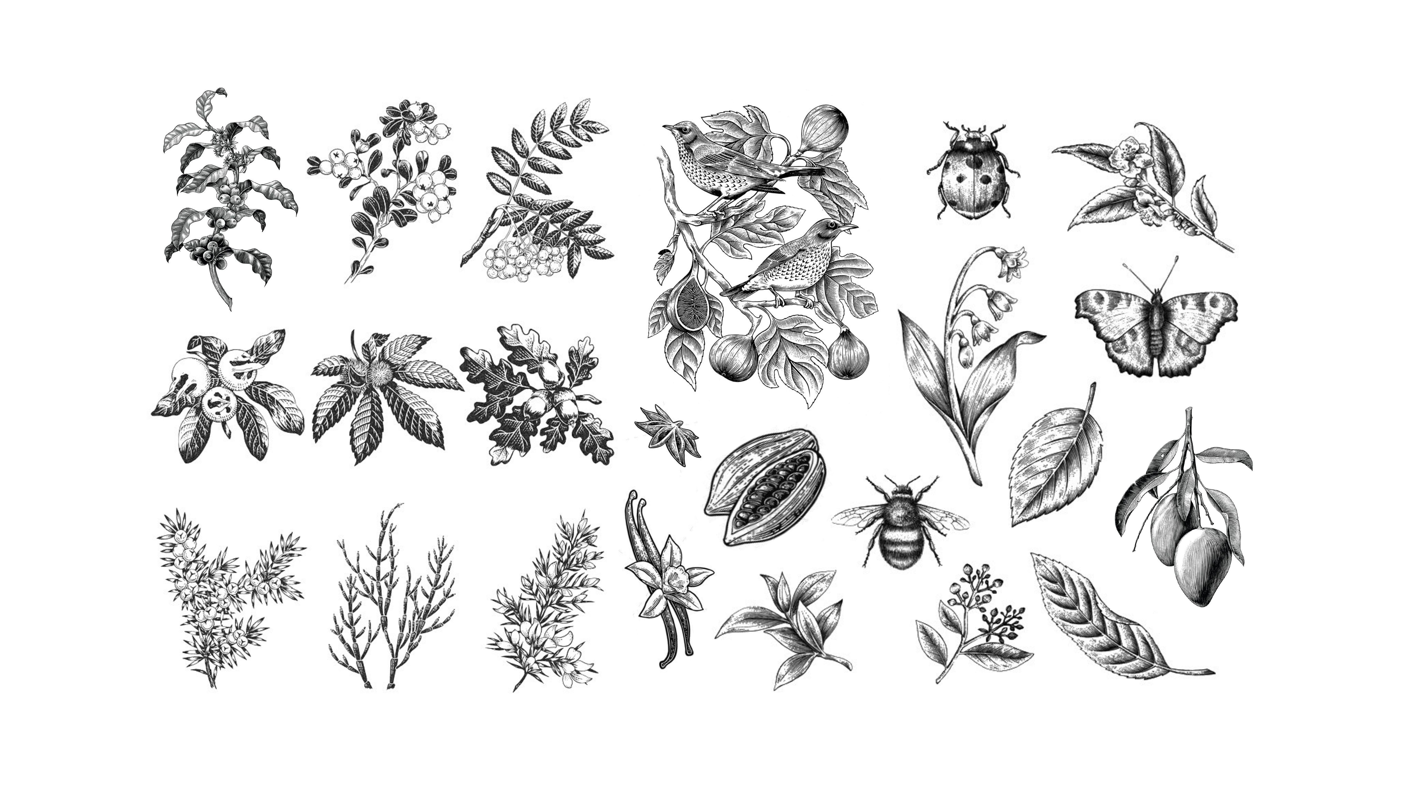 Aura brand guideline, slide 34