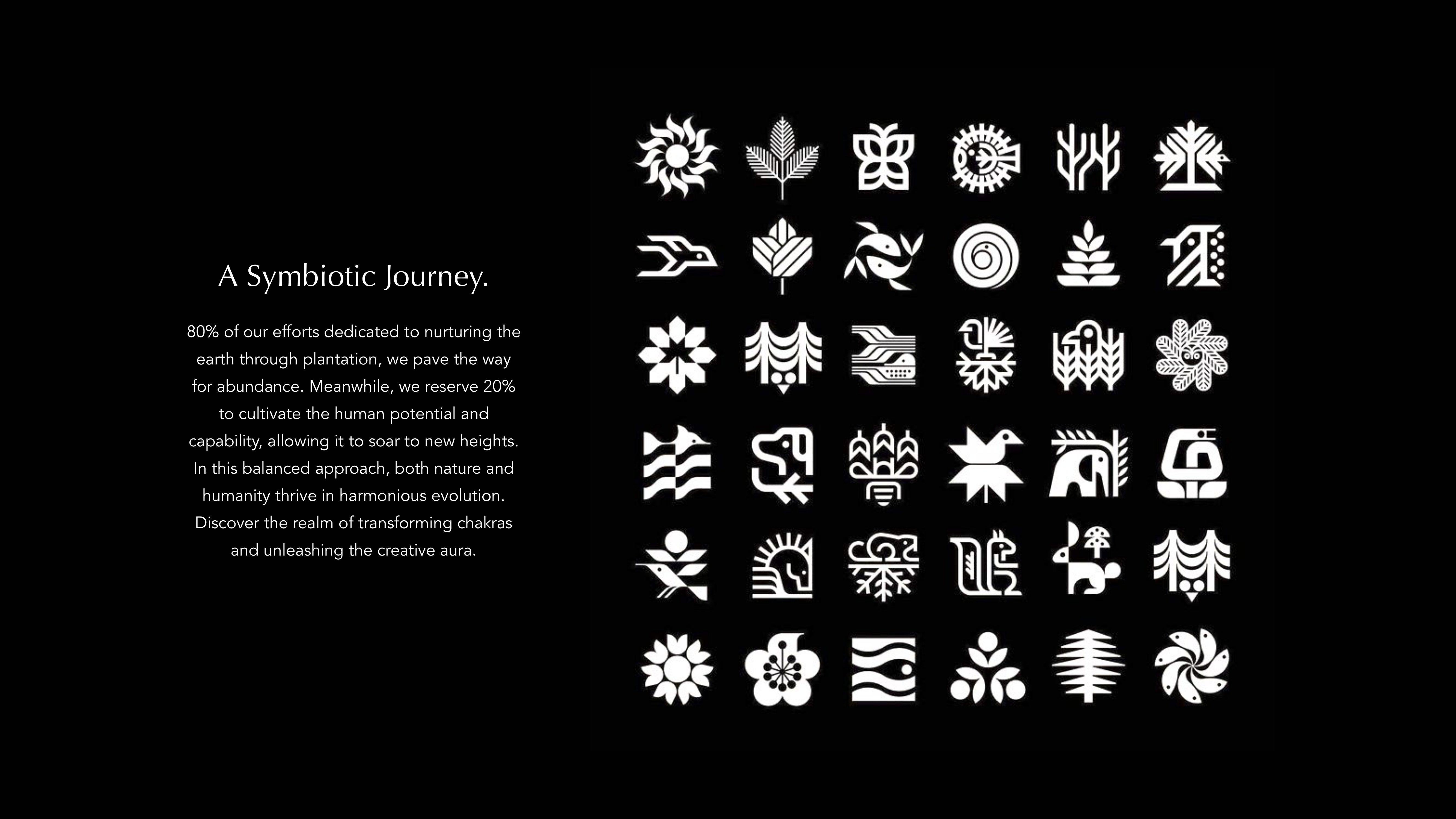 Aura brand guideline, slide 36