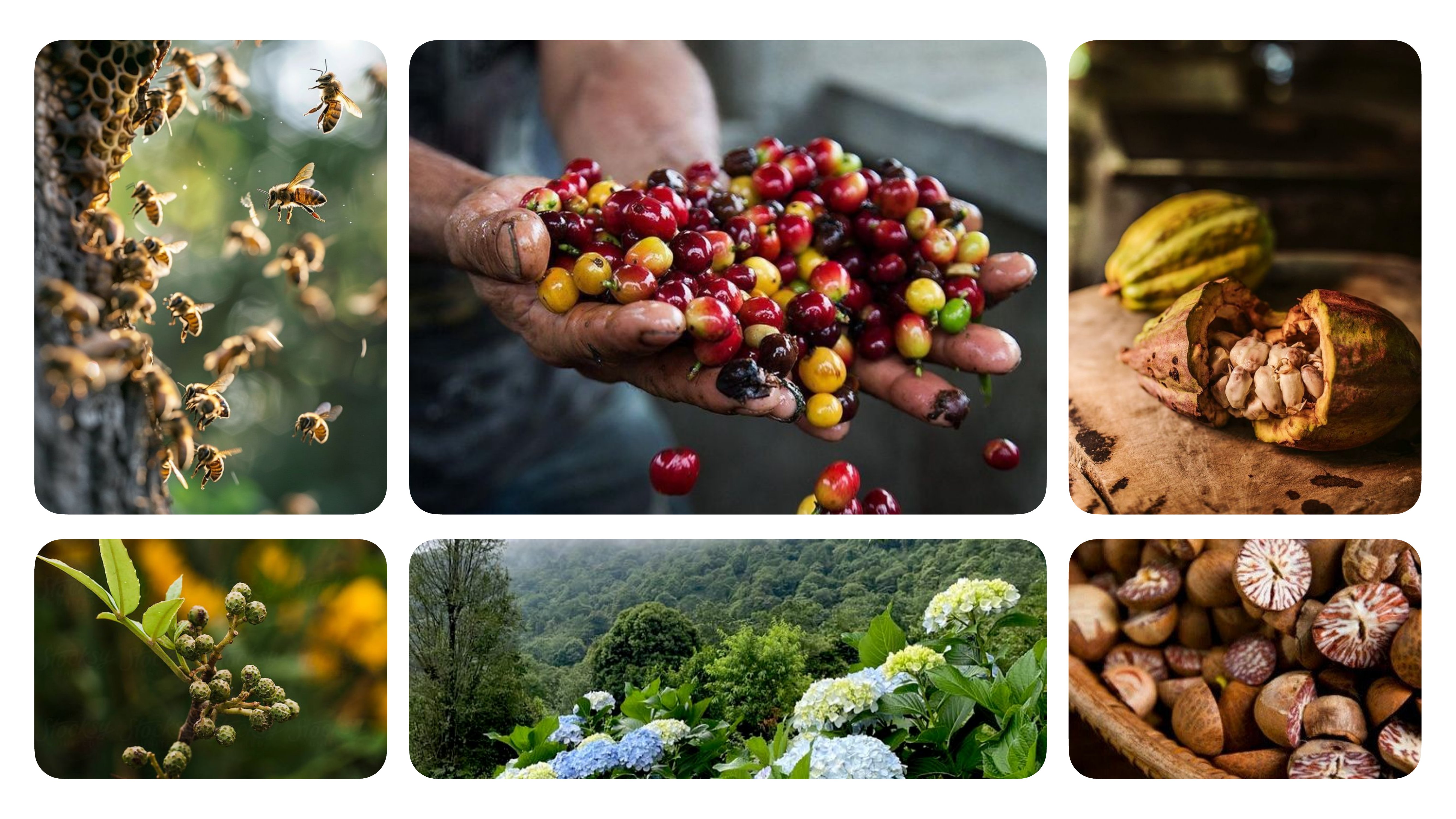 Aura brand guideline, slide 39