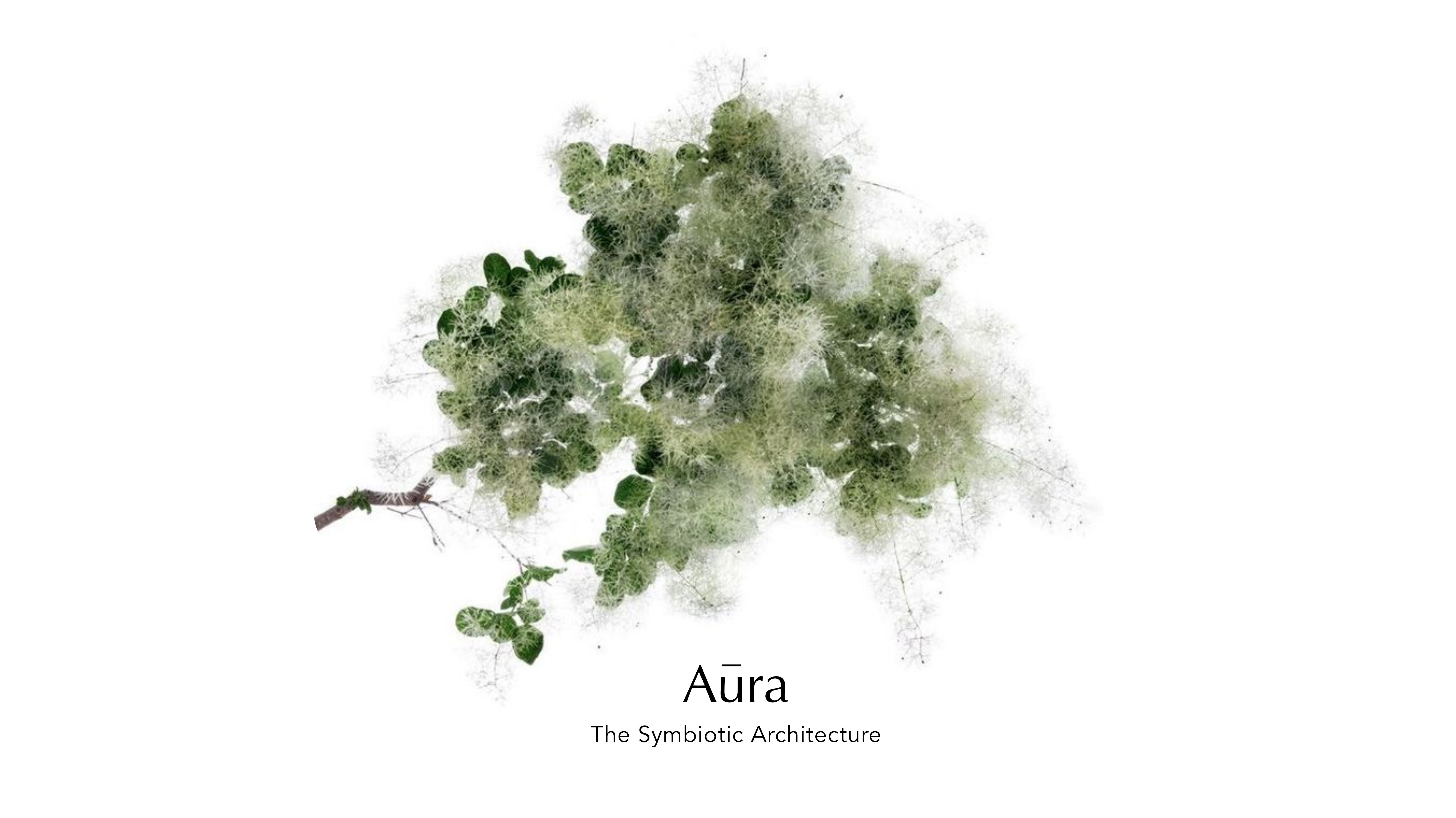 Aura brand guideline, slide 42