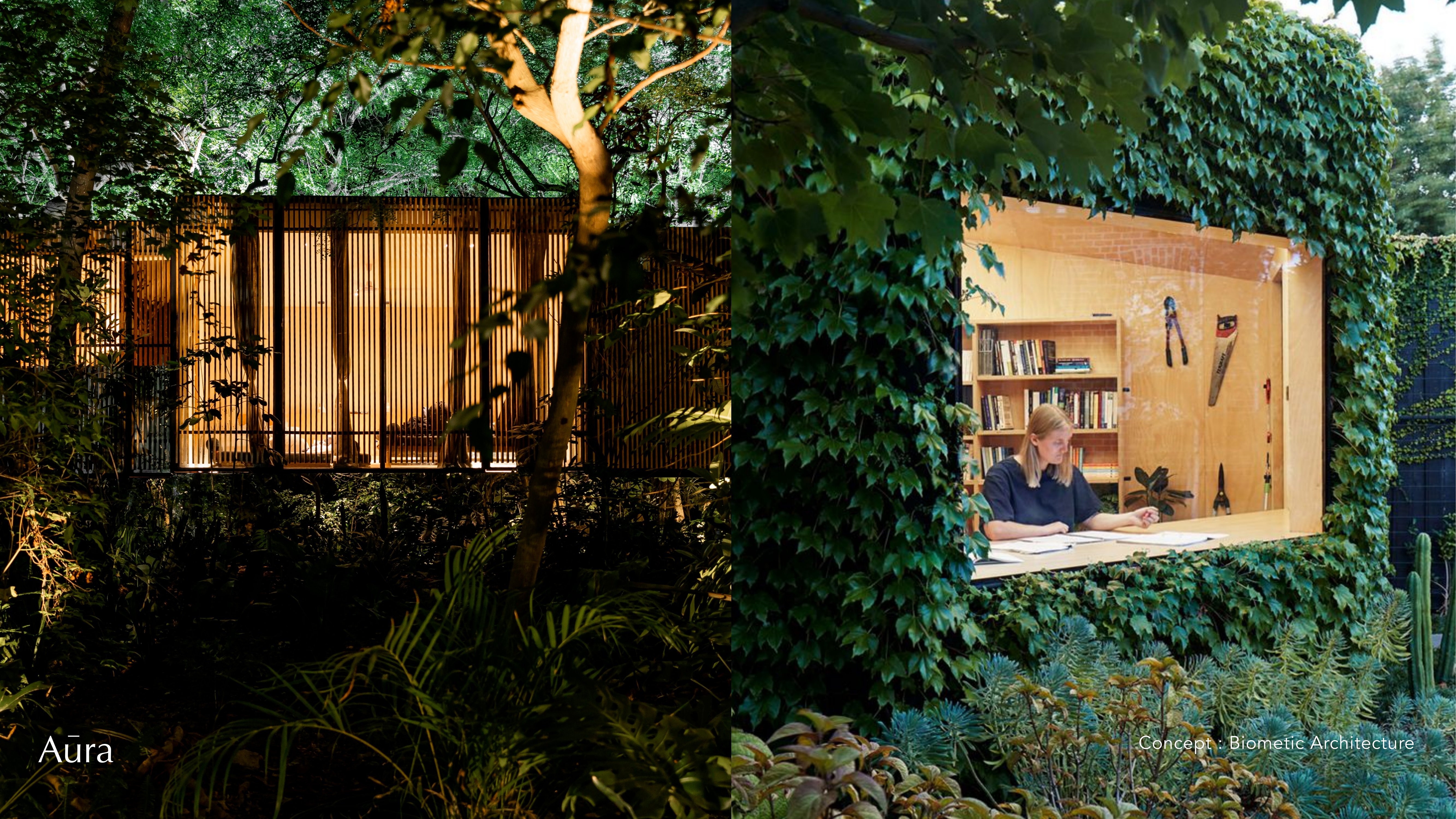 Aura brand guideline, slide 53