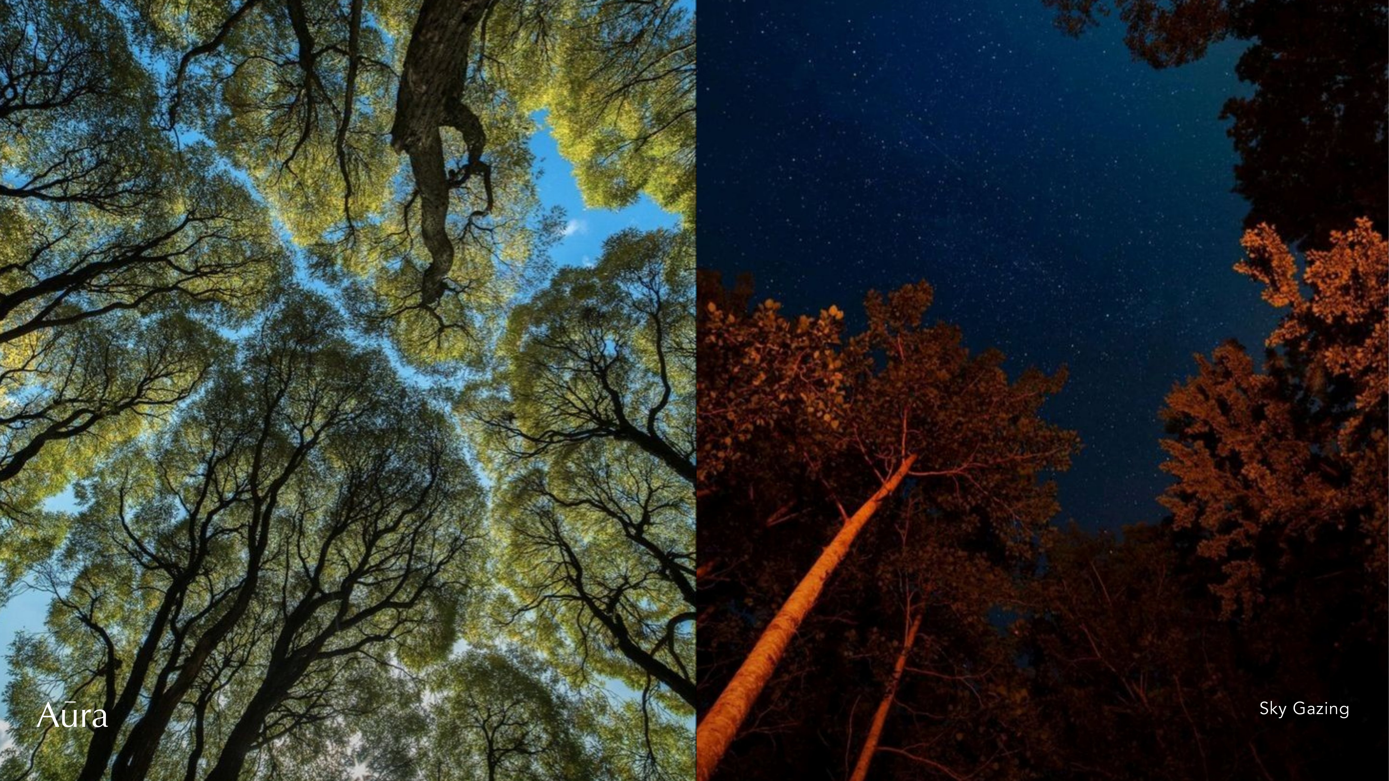 Aura brand guideline, slide 59