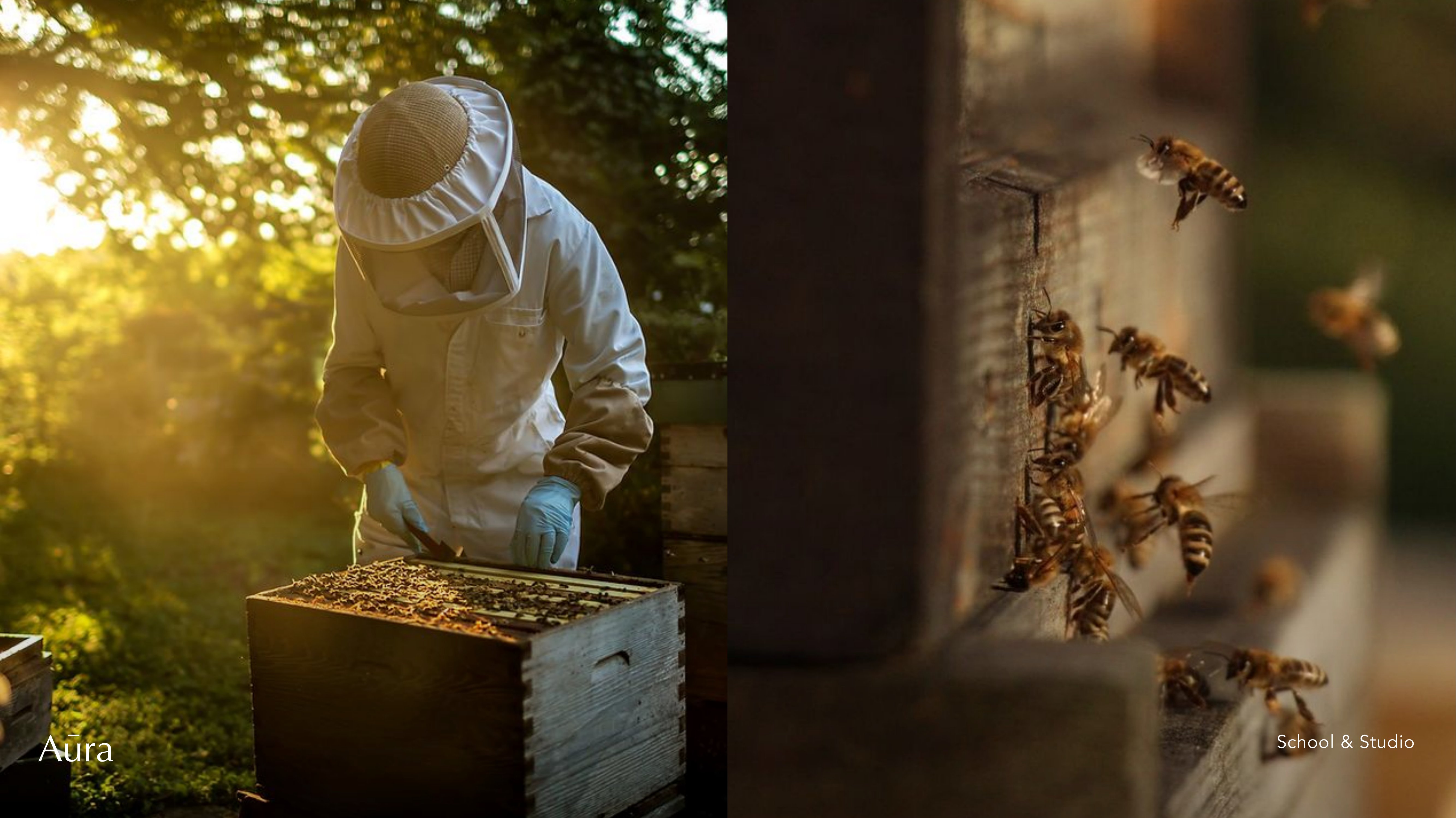 Aura brand guideline, slide 72