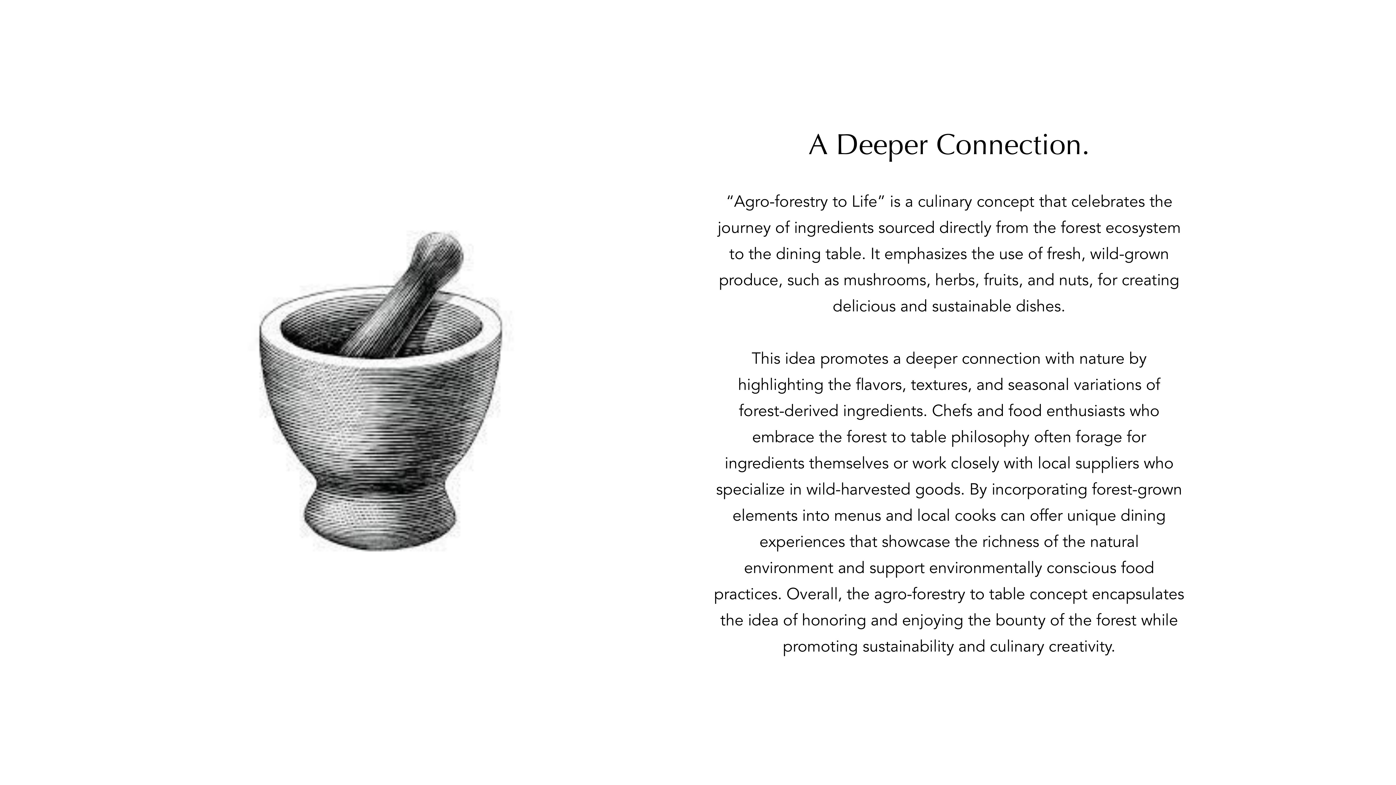 Aura brand guideline, slide 78