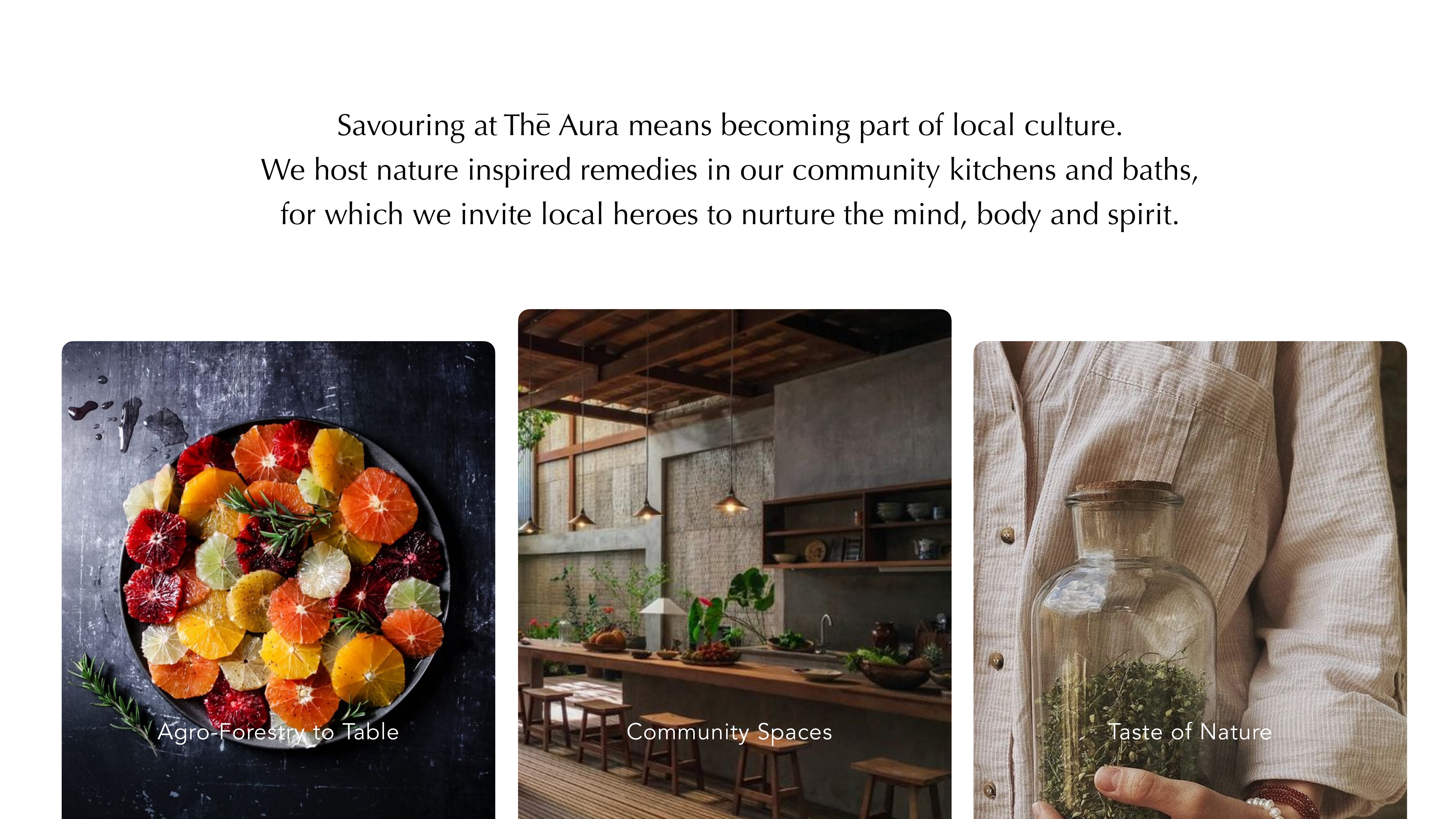 Aura brand guideline, slide 79