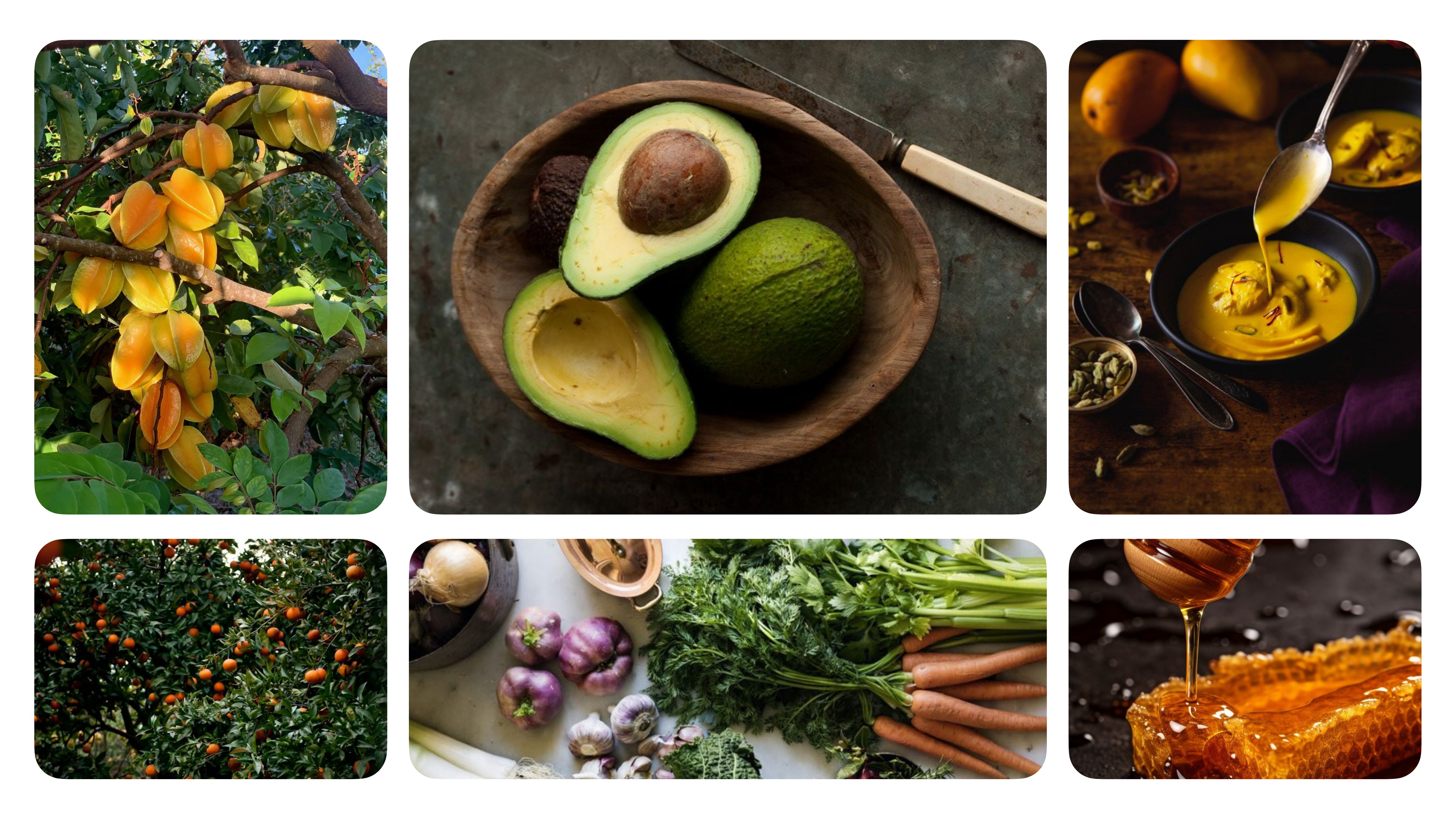 Aura brand guideline, slide 80