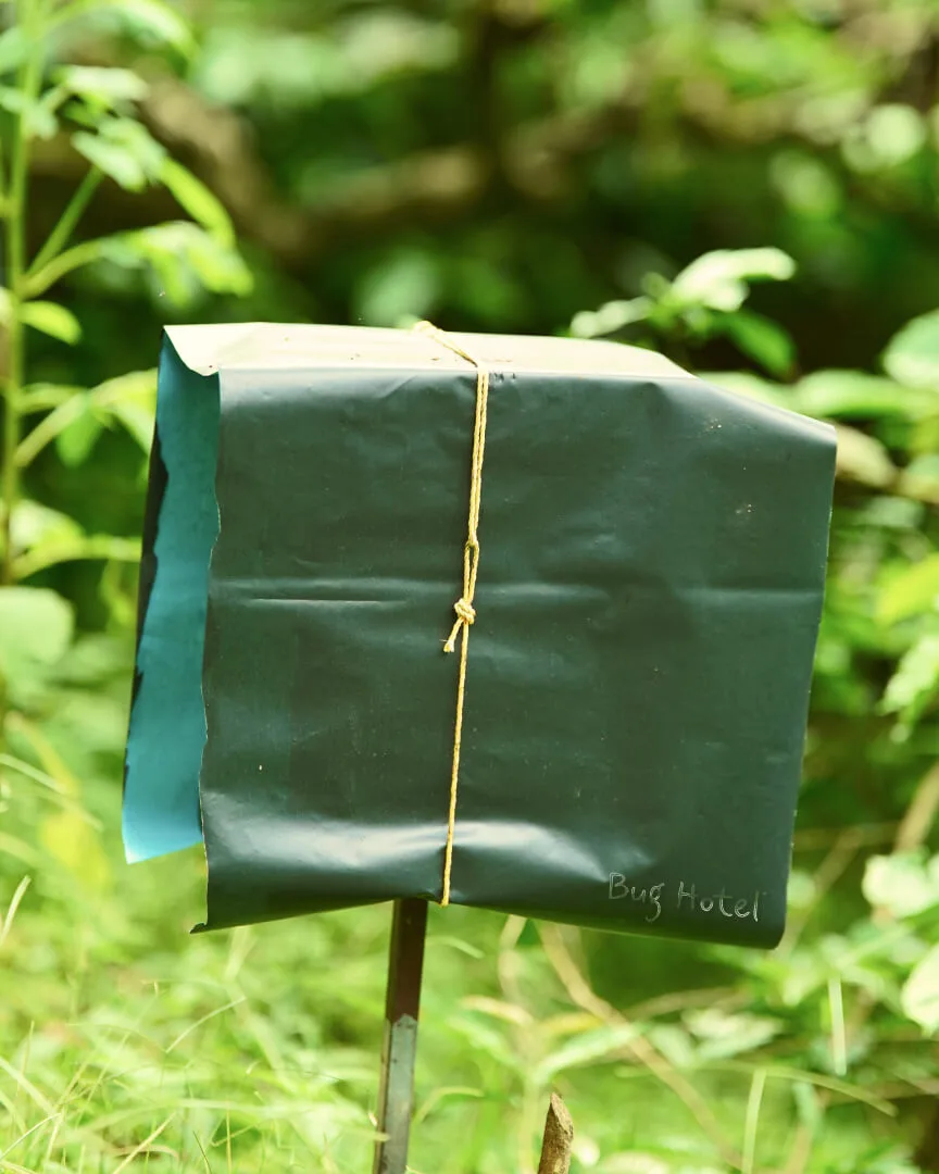 A bug hotel on a stake in the undergrowth, wrapped against the rain and labelled in chalk