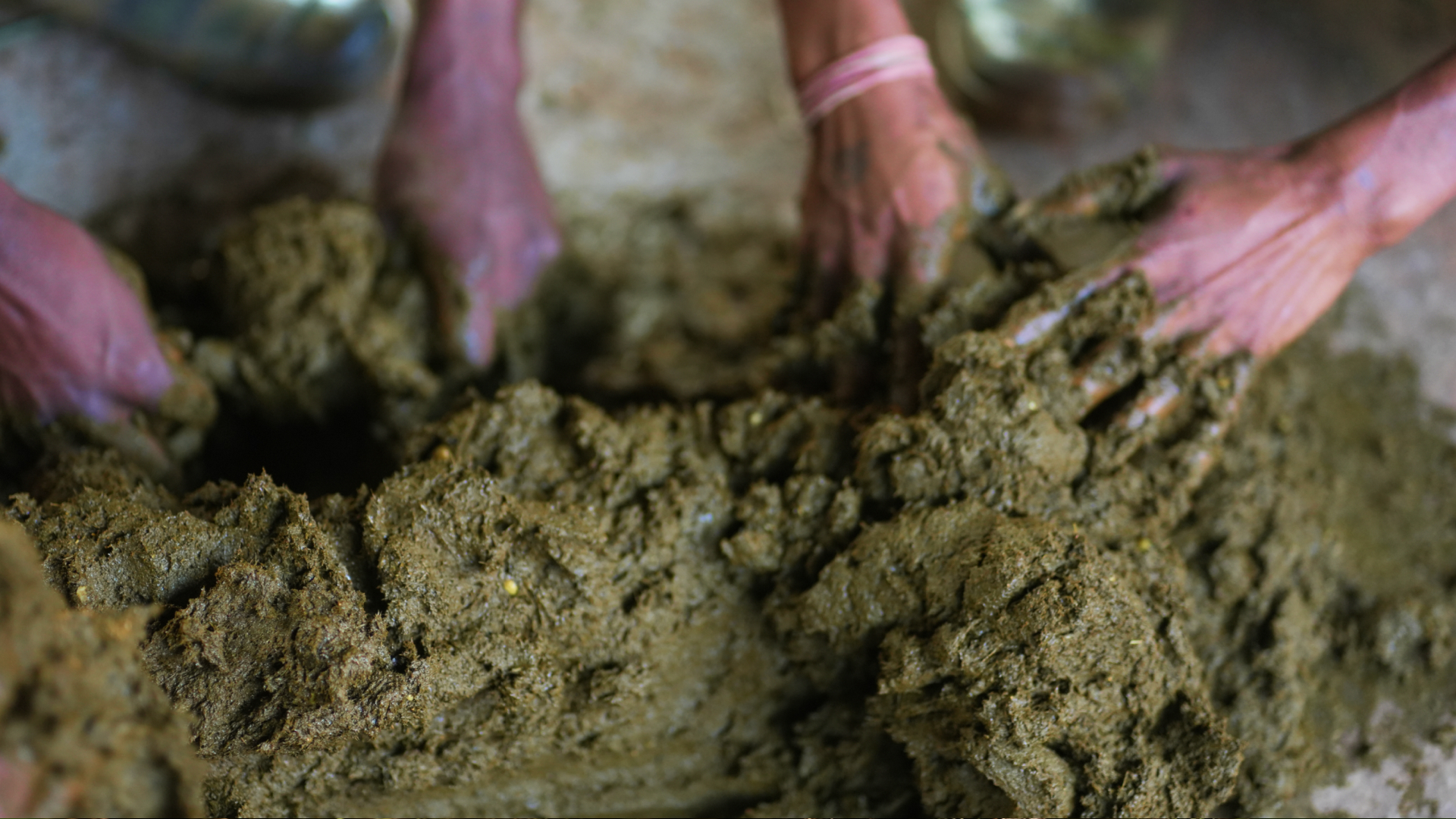 Fresh dung collected at dawn — the estate's raw material