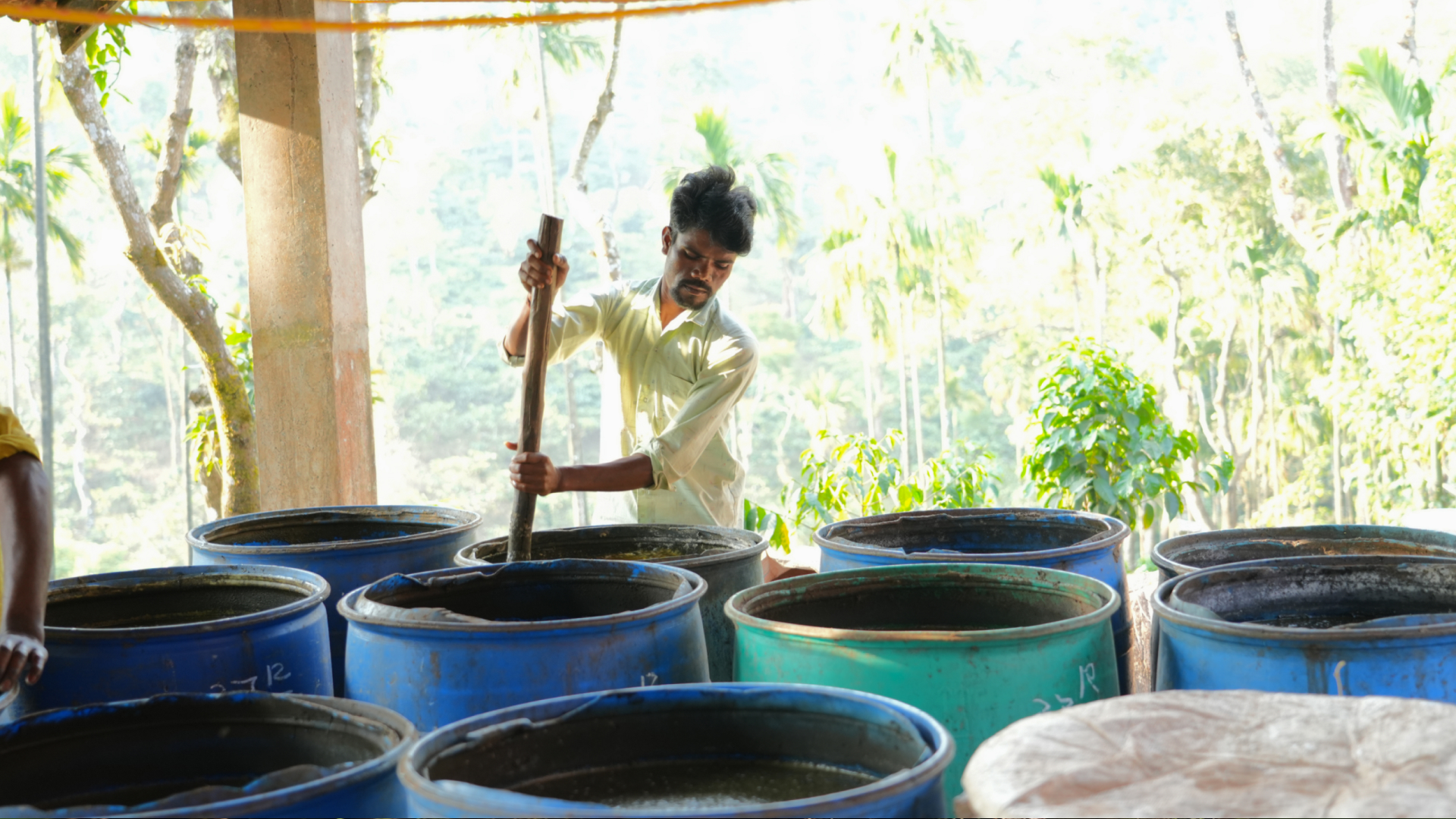 Barrels of Jeevamrit fermenting at Mudigere