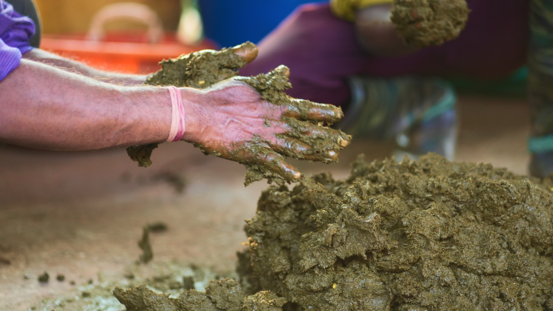Fresh dung collected at dawn — the estate's raw material