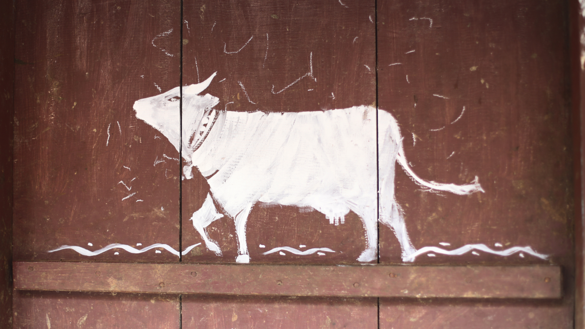 Grass and grazer at Mudigere — each other's gift