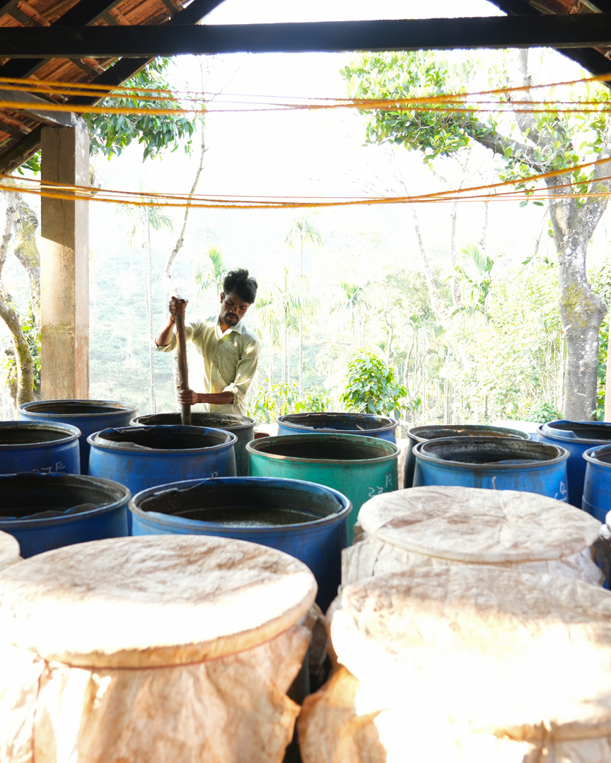 Sealed stainless-steel ferment tanks — Anaerobic Natural lot at Sampigelkhan Estate