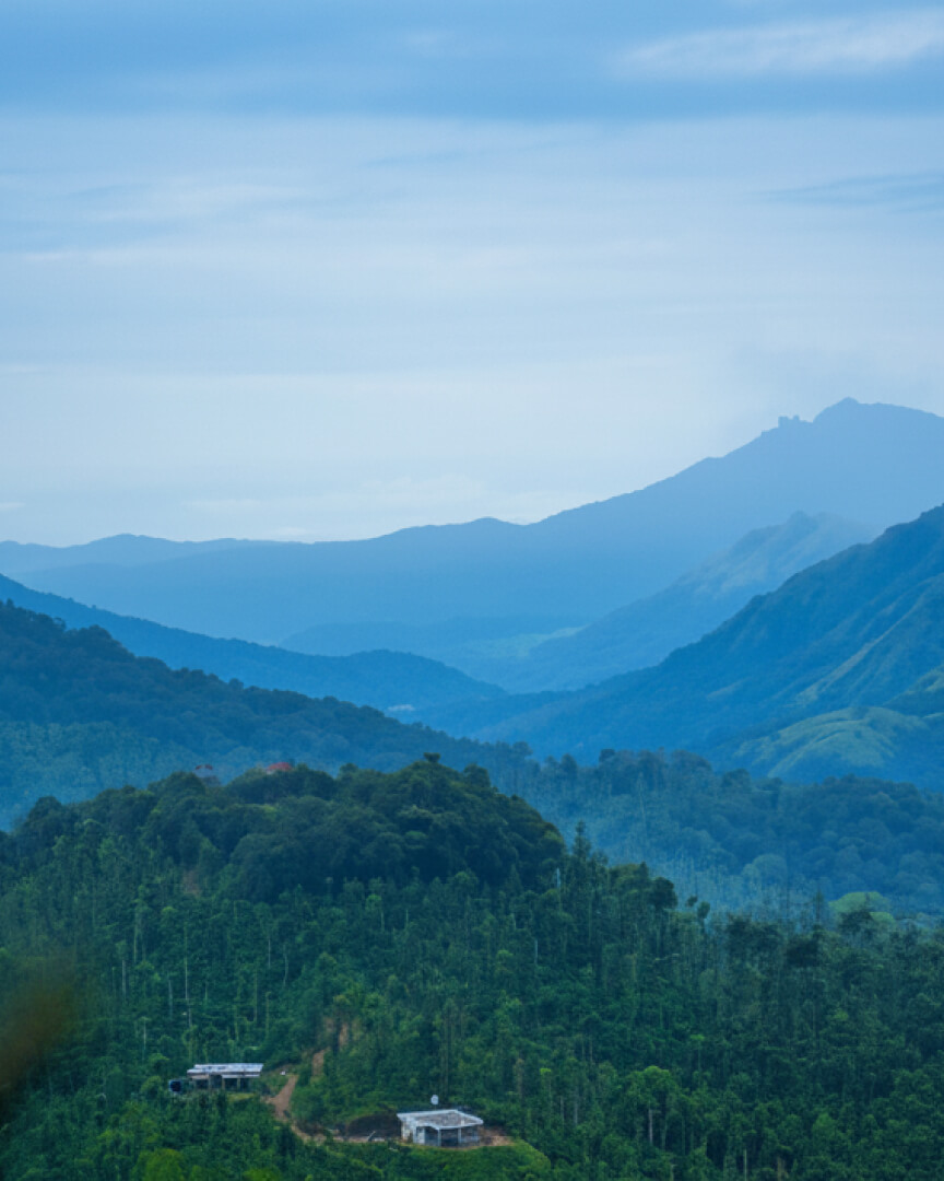 Mudigere mountains rising over the Western Ghats — the valley that holds Sampigelkhan Estate