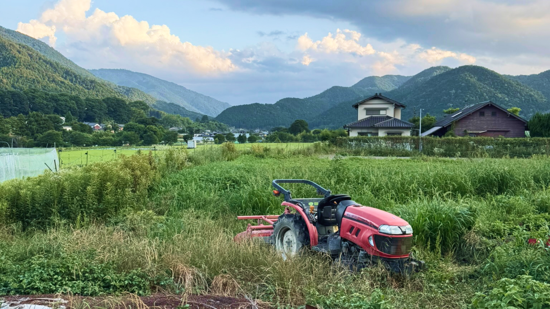 The kitchen garden and terraced fields that feed the table
