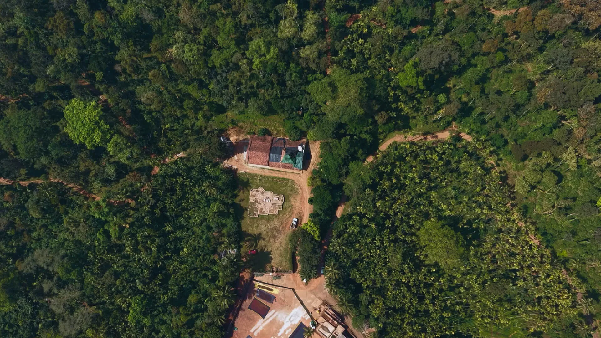 The estate from the air, a building among the canopy