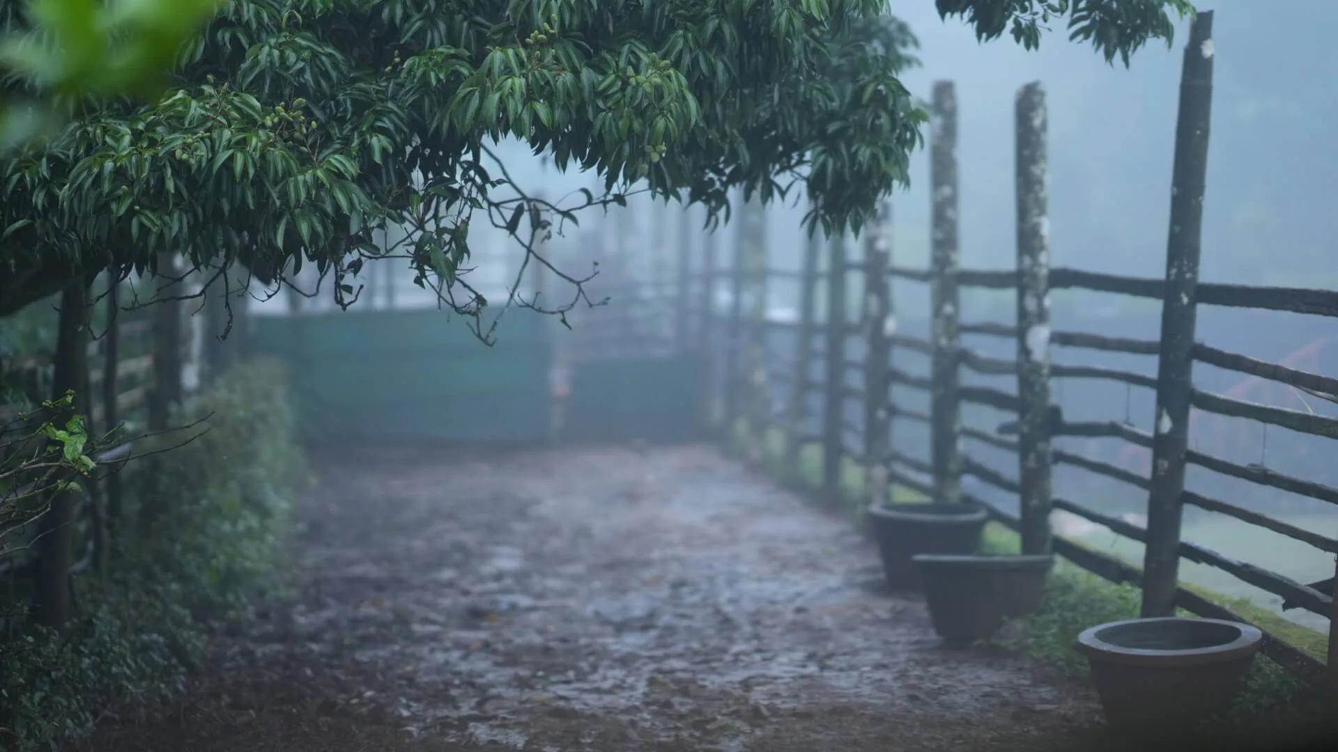 A covered deck open on three sides, mist standing in it