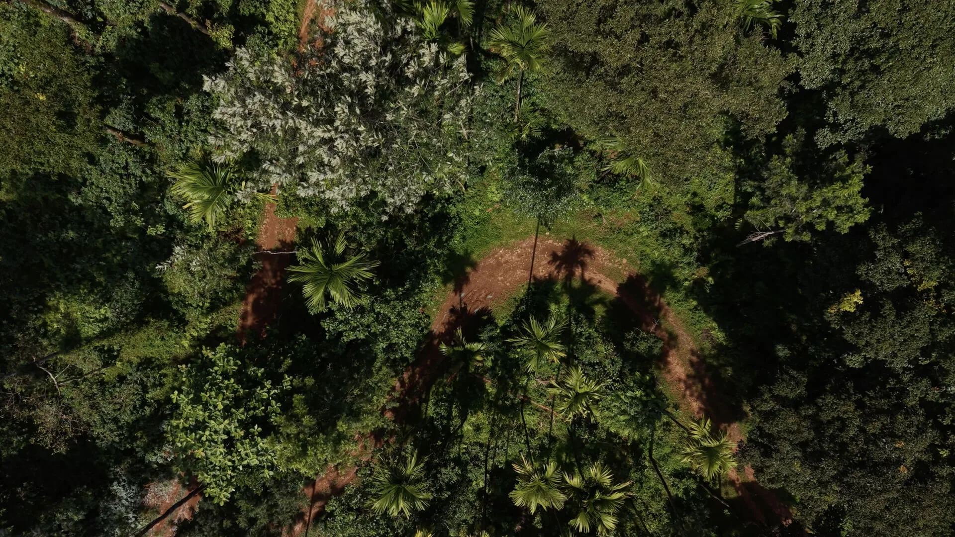 The four-storey canopy seen from above