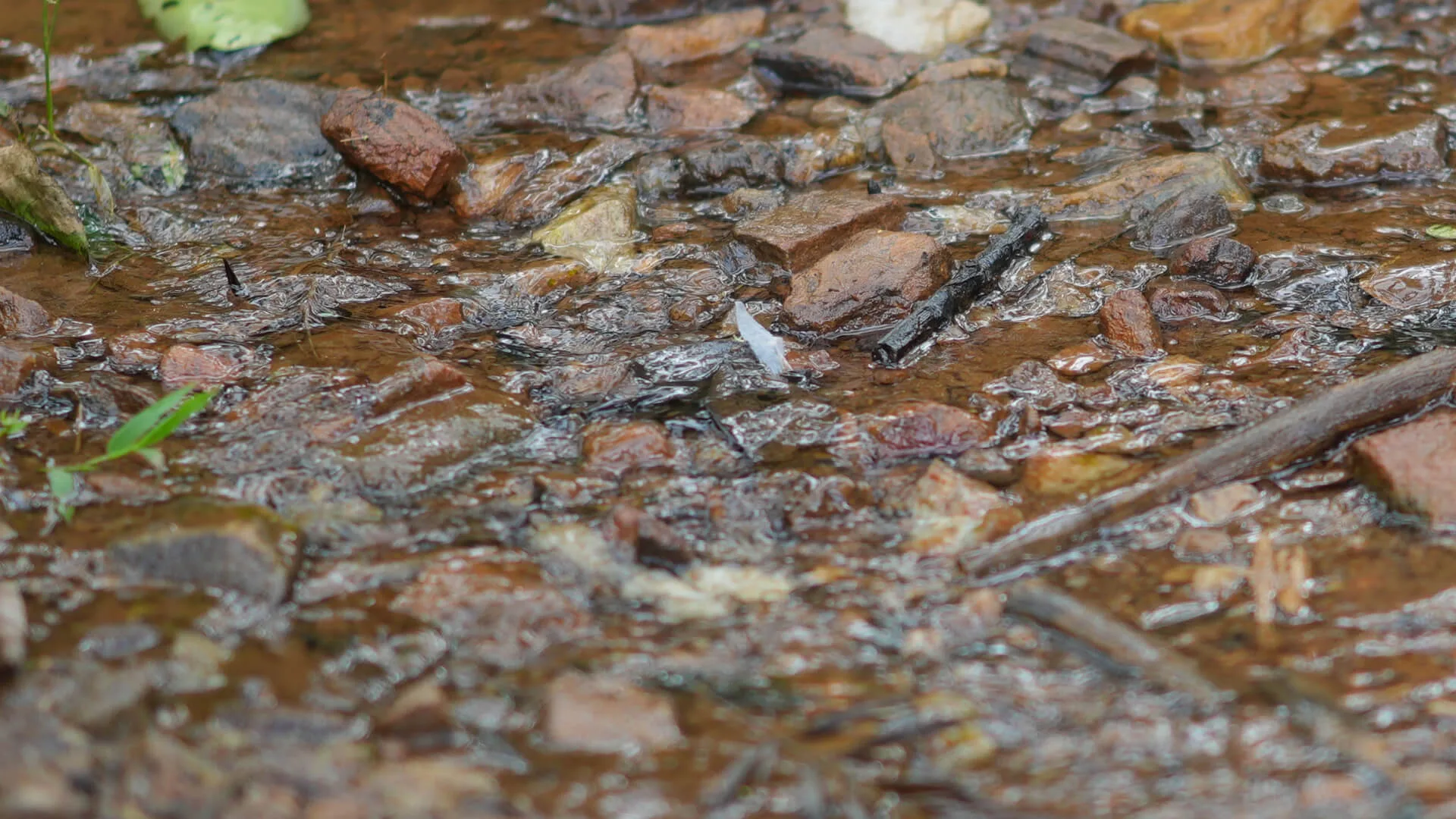 Water running clear over stones in a stream bed