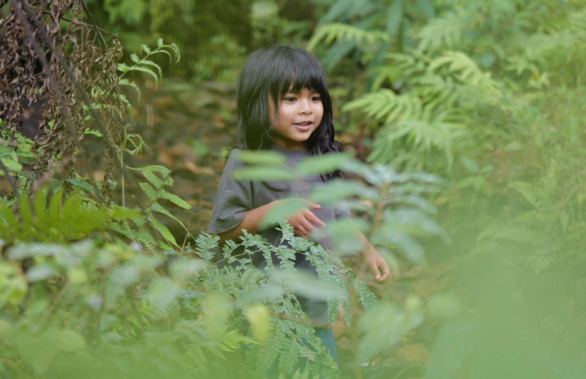 A young girl smiling among tall ferns