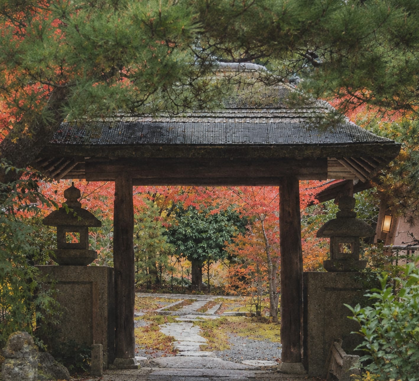 A wooden temple gate in Ohara, autumn maples beyond it