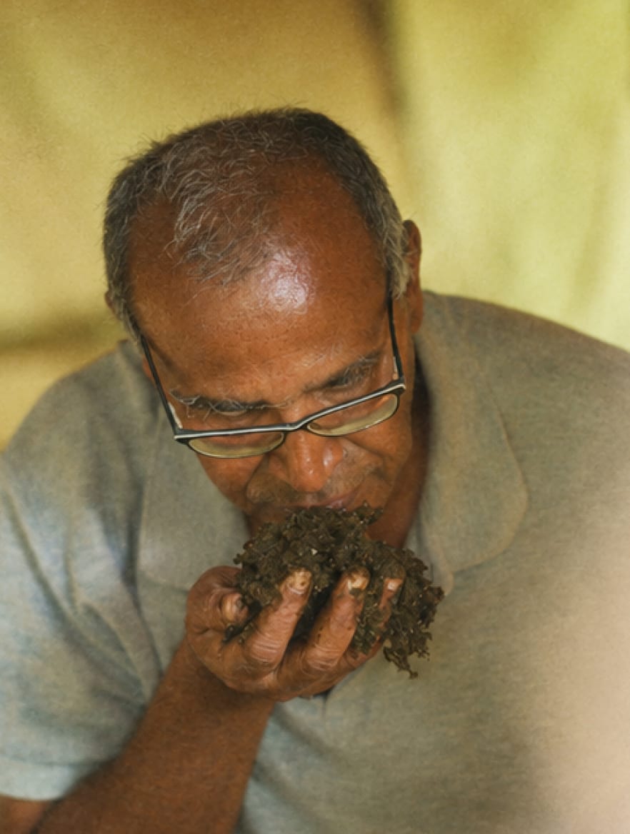 A man on the estate smelling a handful of soil
